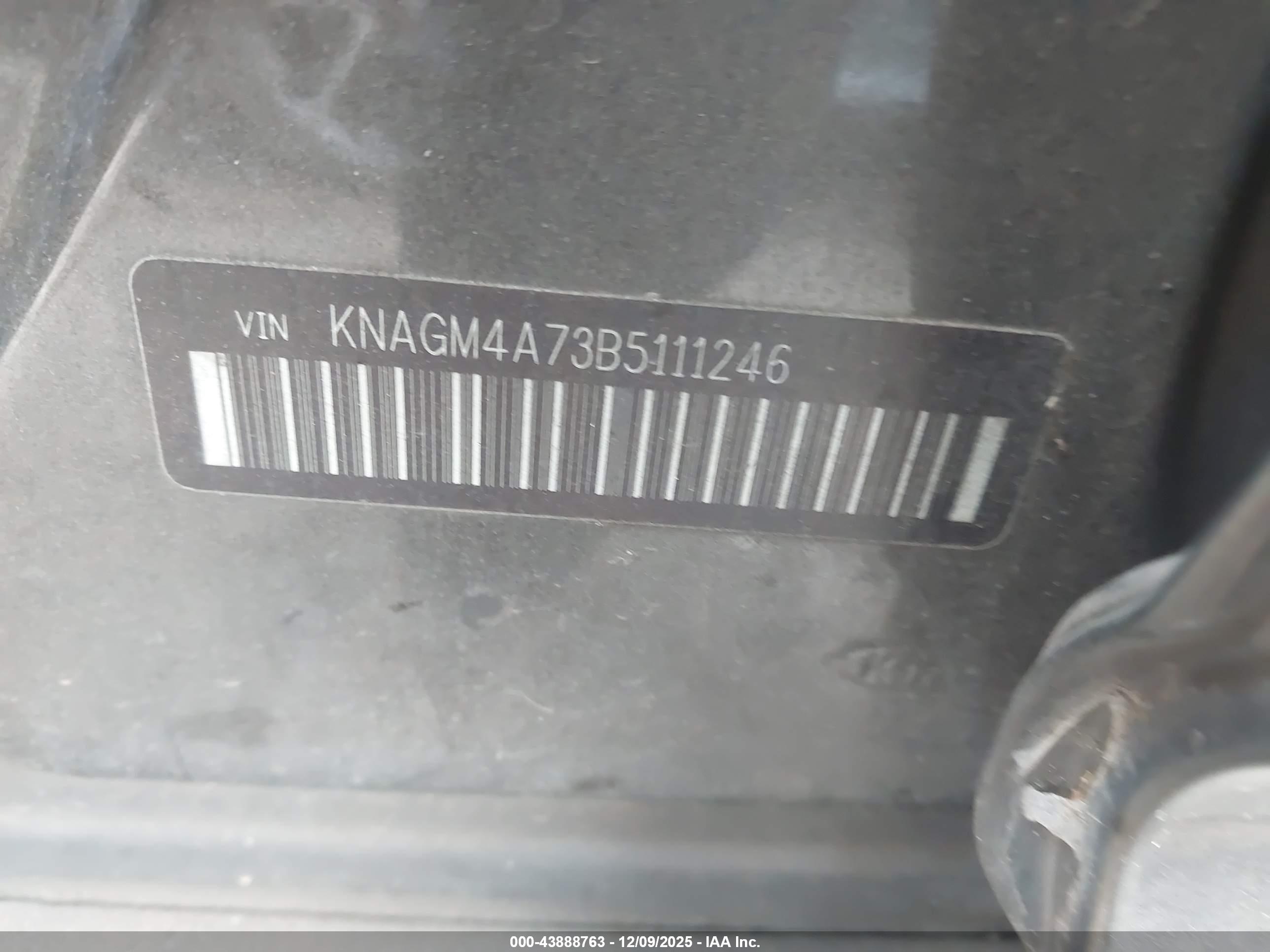 KIA OPTIMA image 9