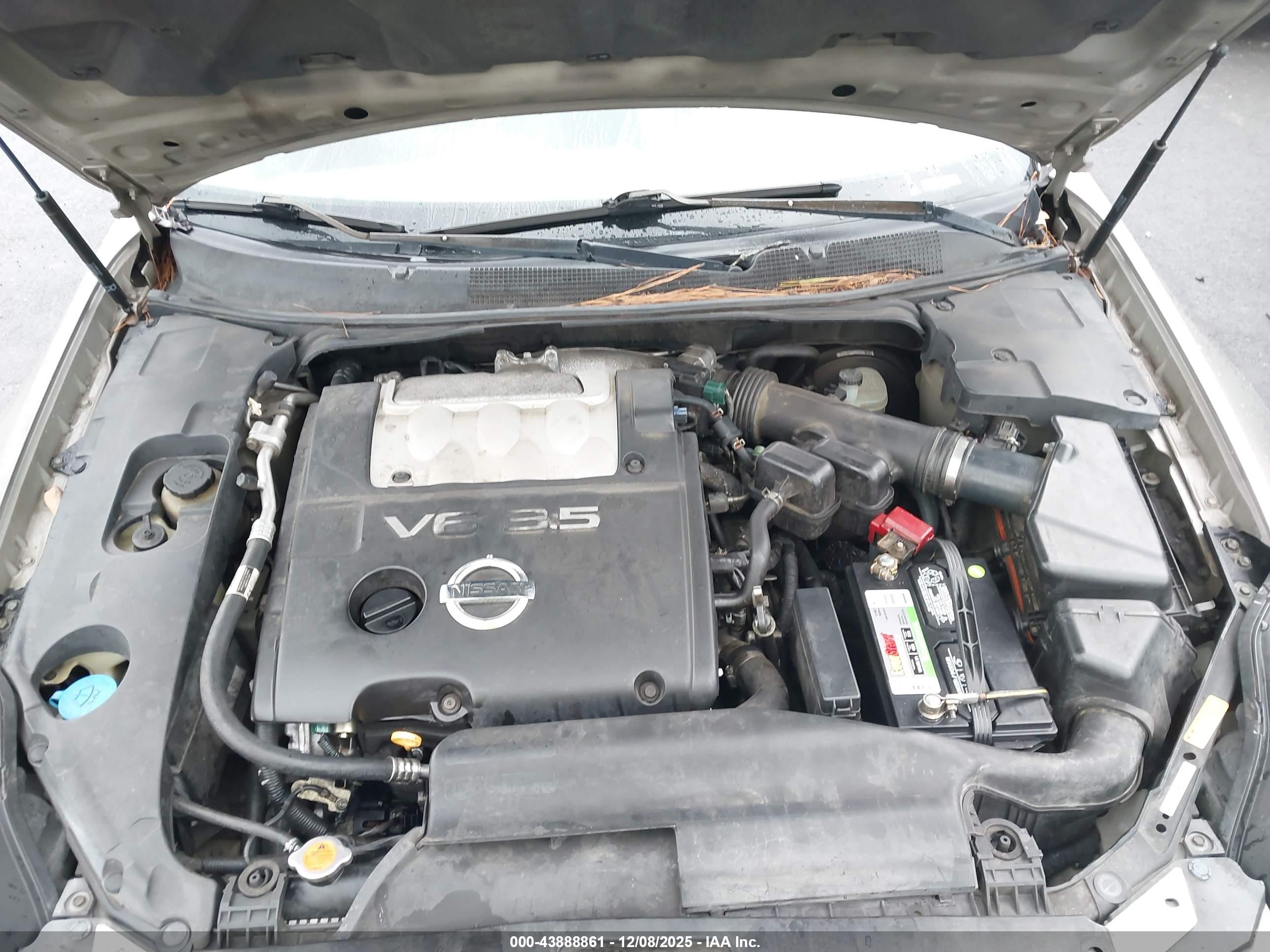NISSAN MAXIMA image 10