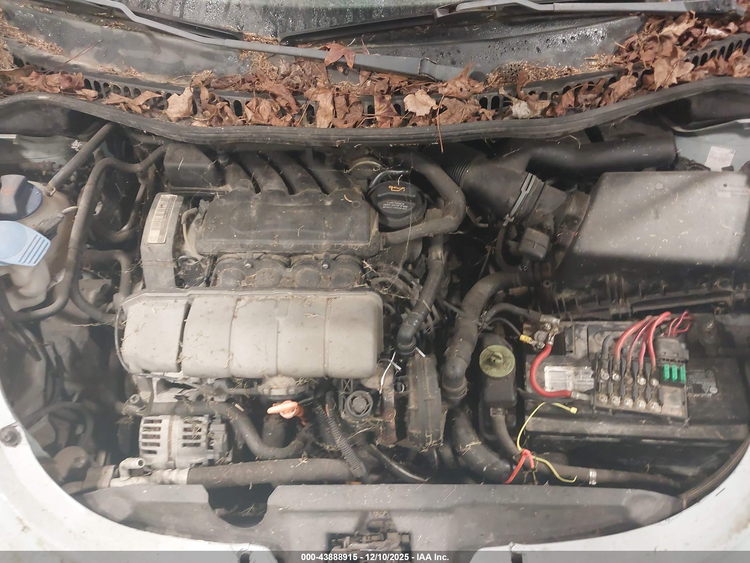 VOLKSWAGEN NEW image 10