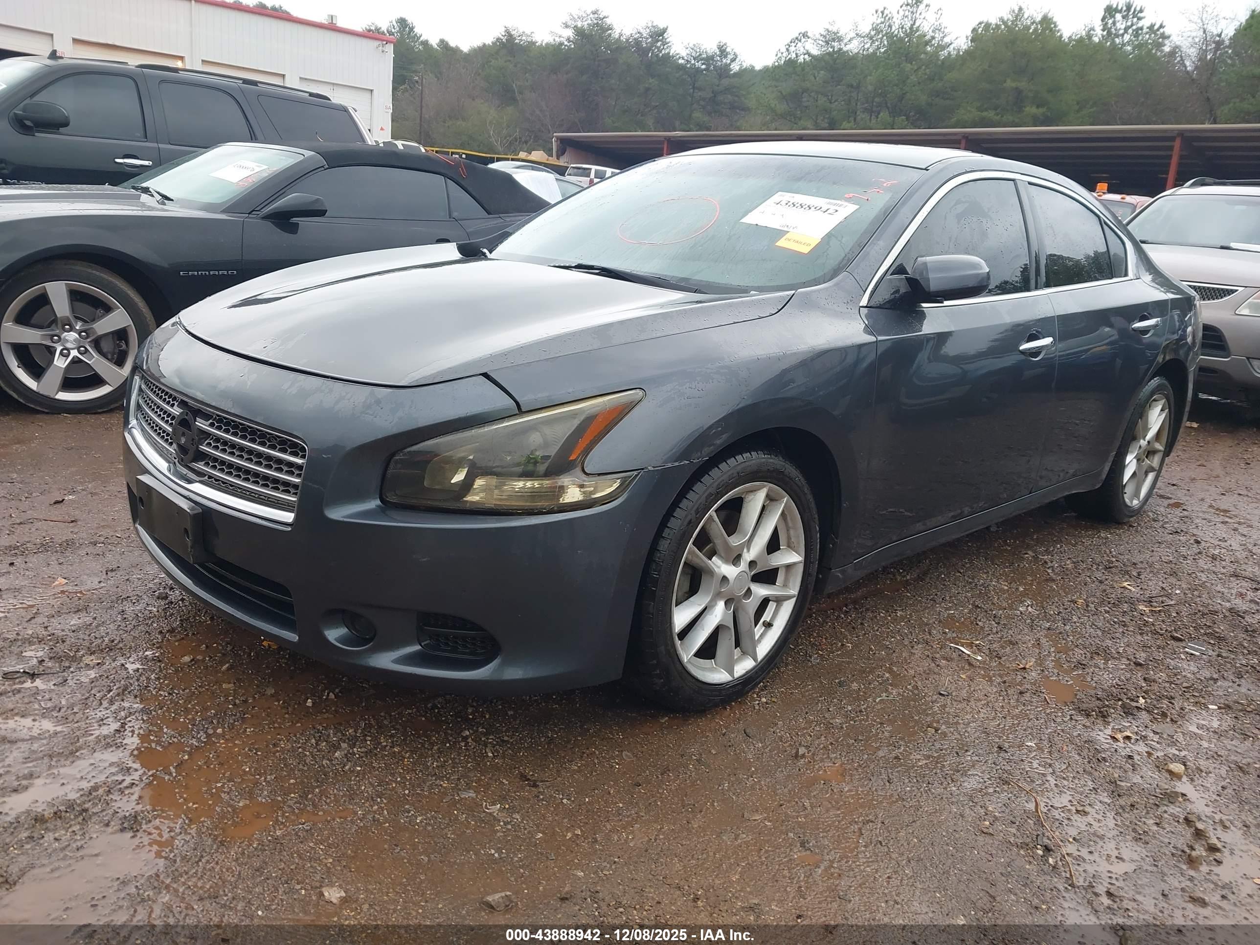 NISSAN MAXIMA image 2
