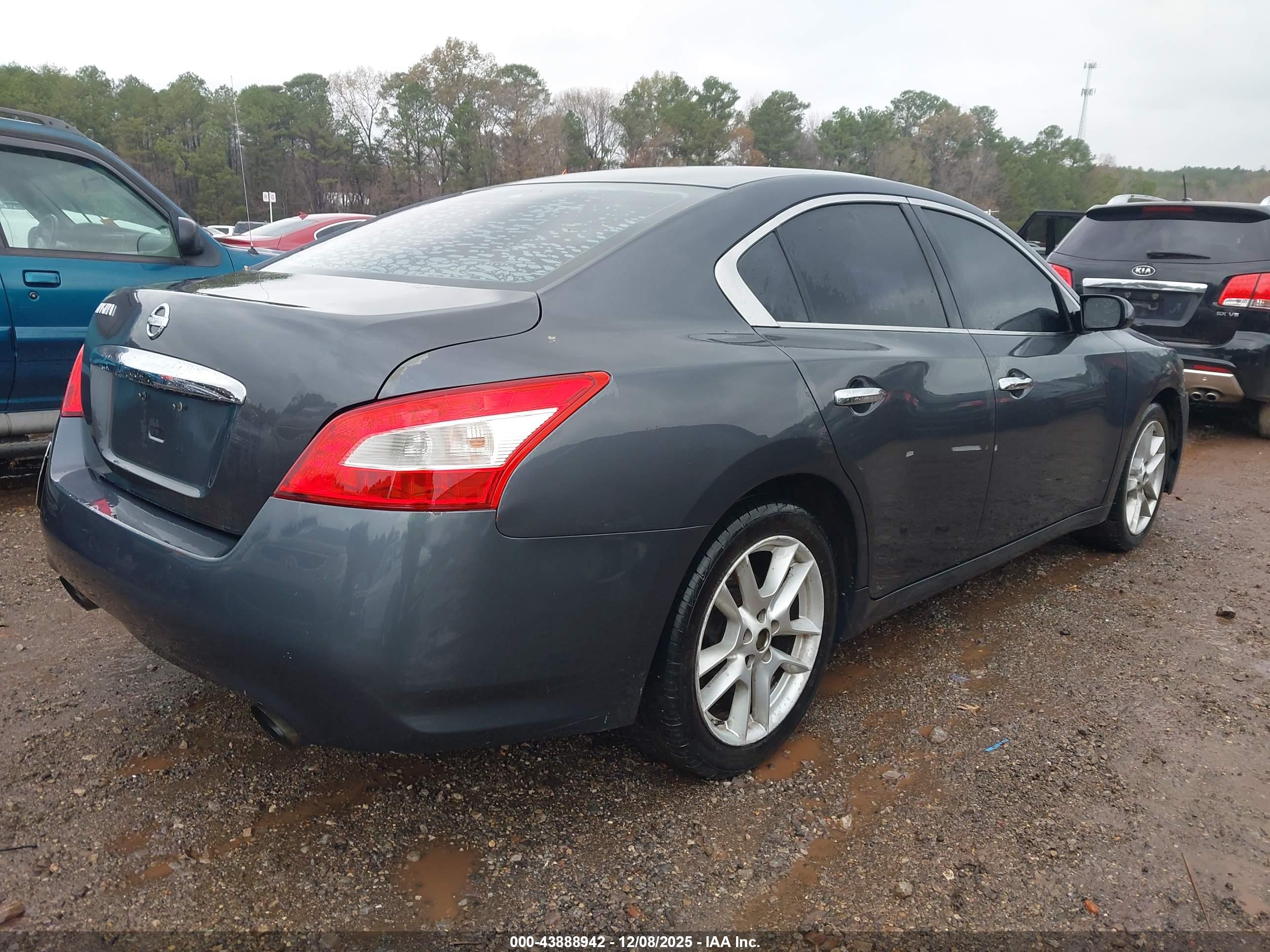 NISSAN MAXIMA image 4