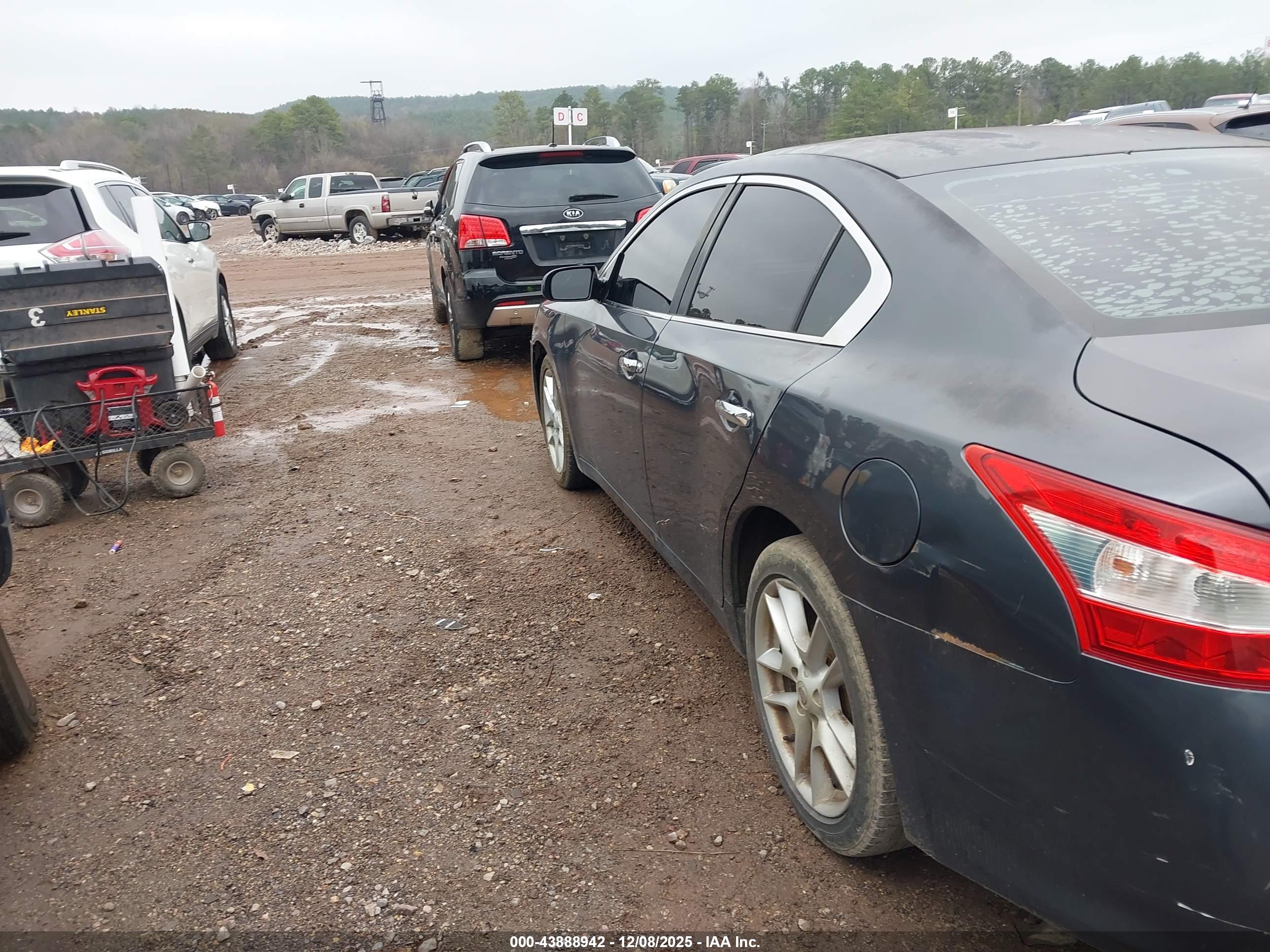 NISSAN MAXIMA image 6