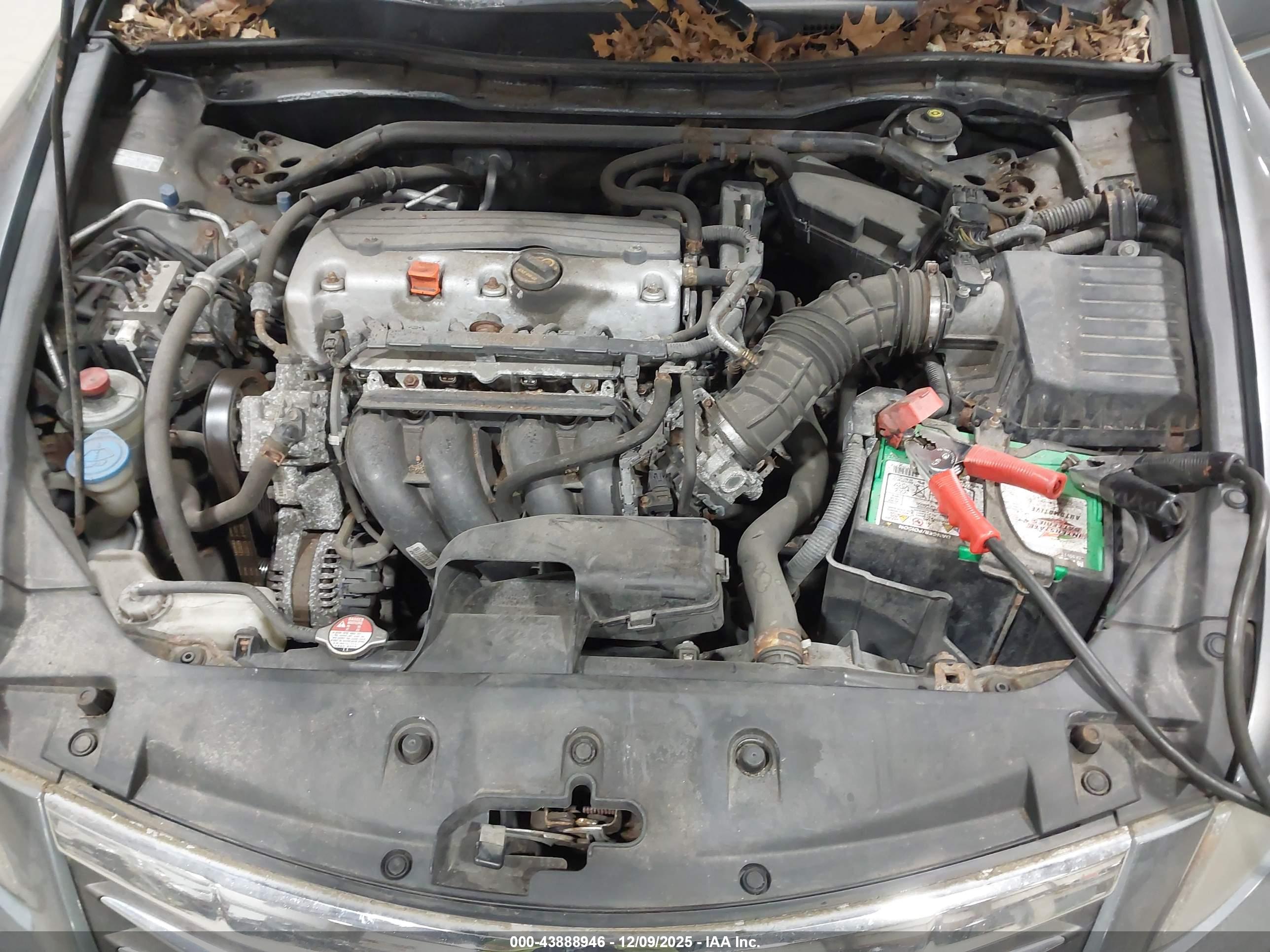 HONDA ACCORD image 10