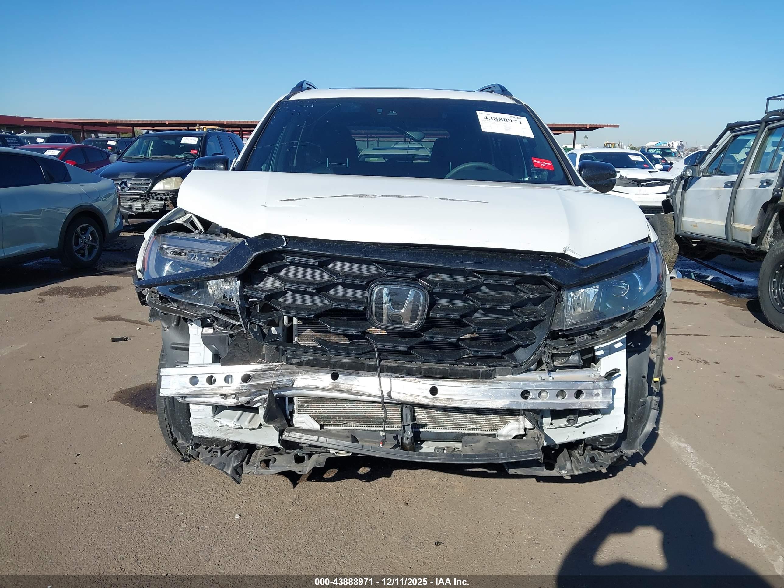 HONDA PASSPORT image 6
