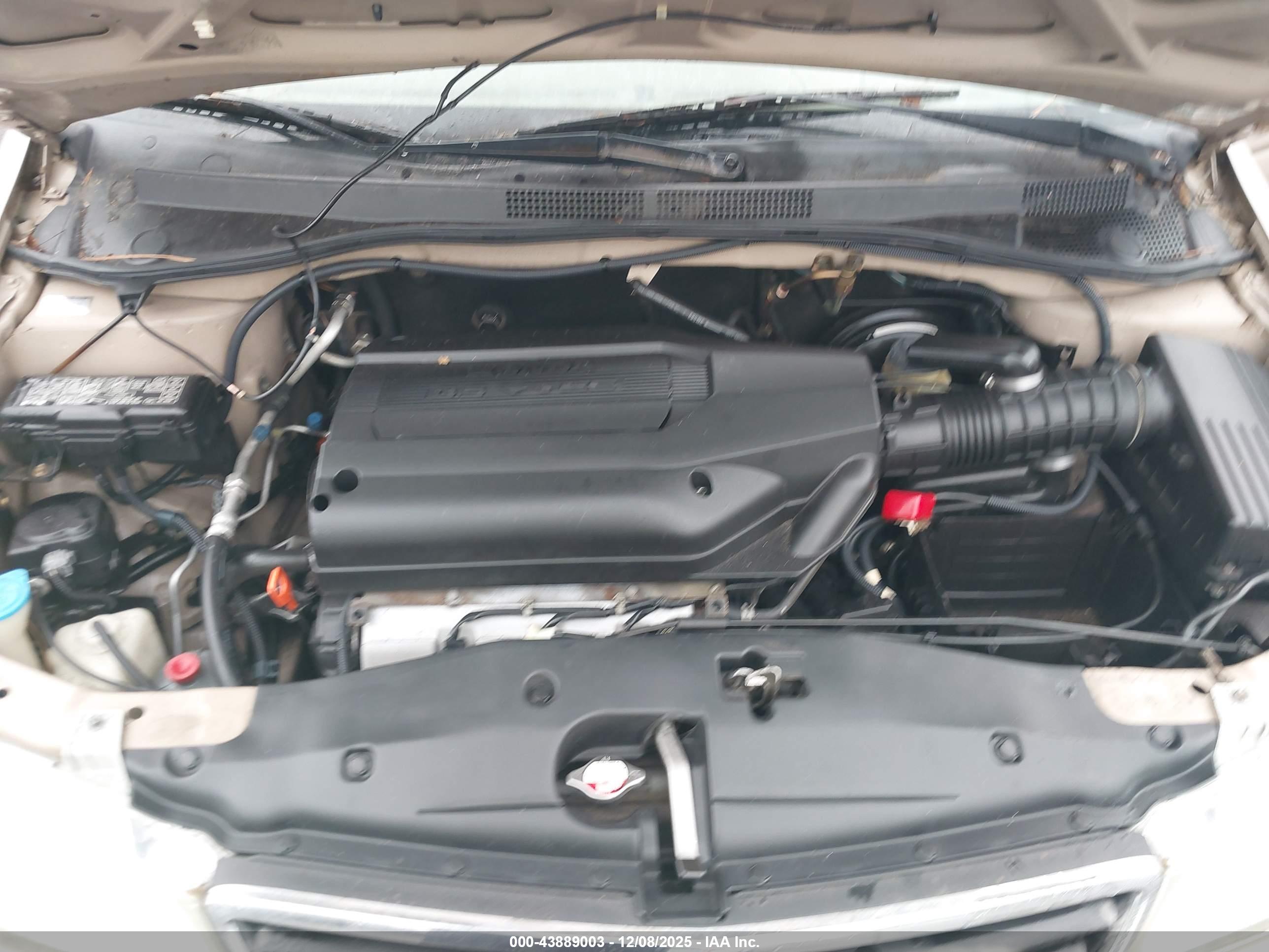 HONDA ODYSSEY image 10