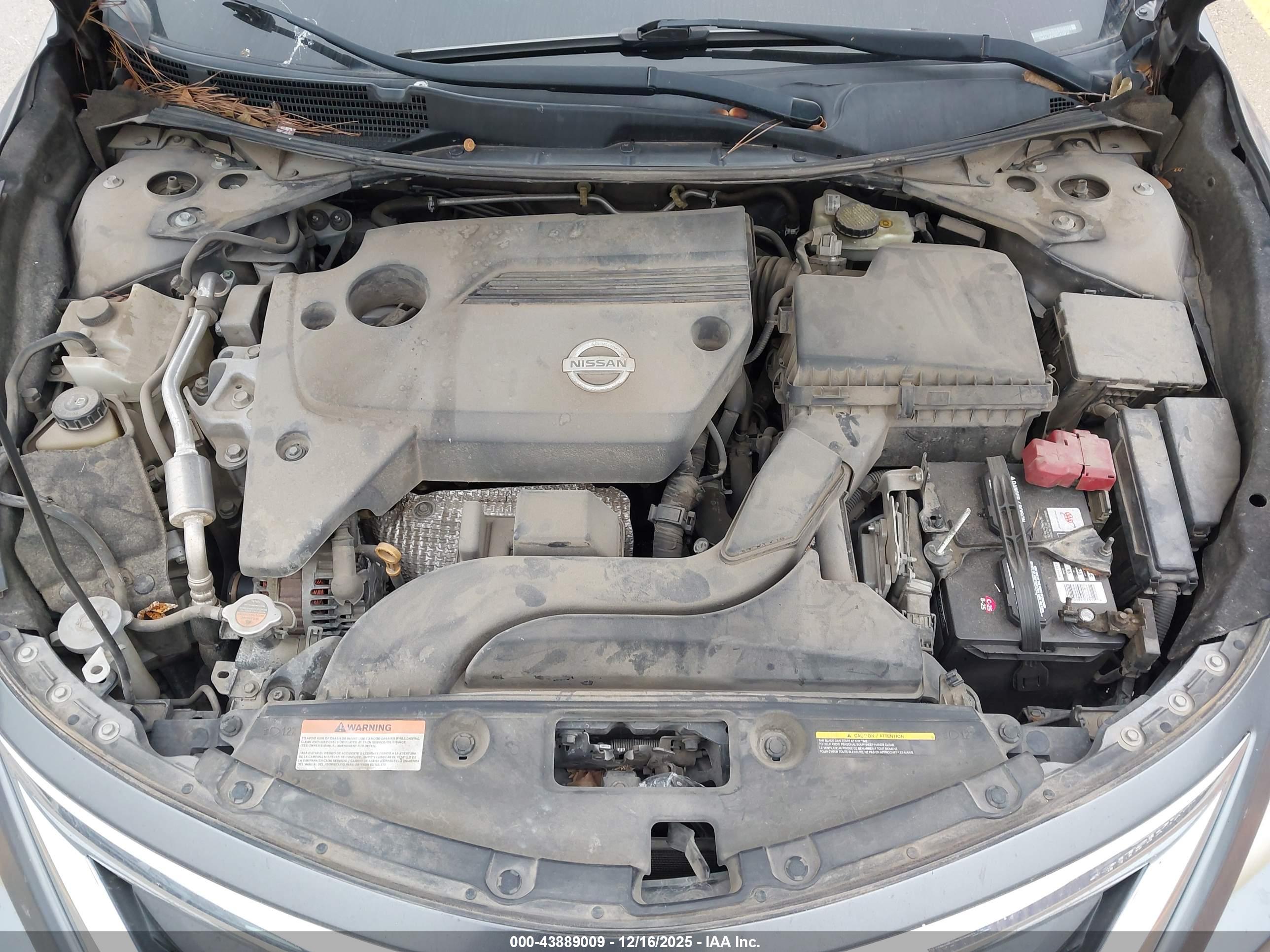 NISSAN ALTIMA image 10