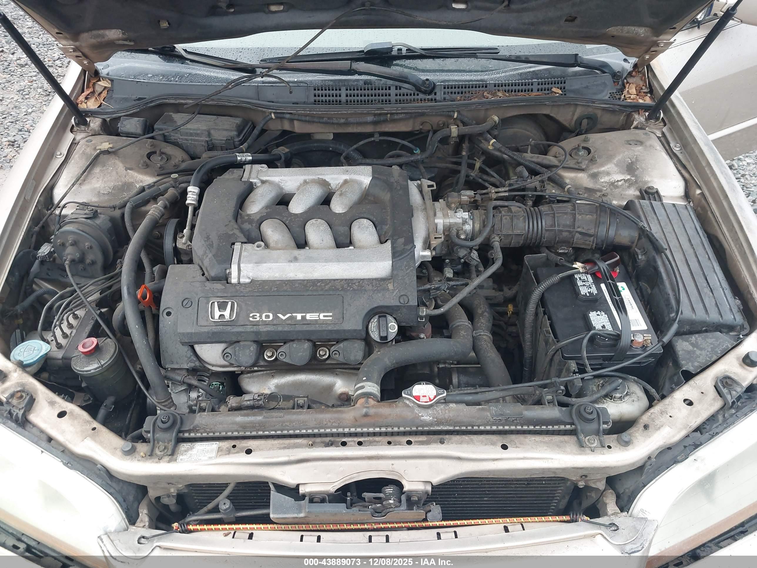 HONDA ACCORD image 10