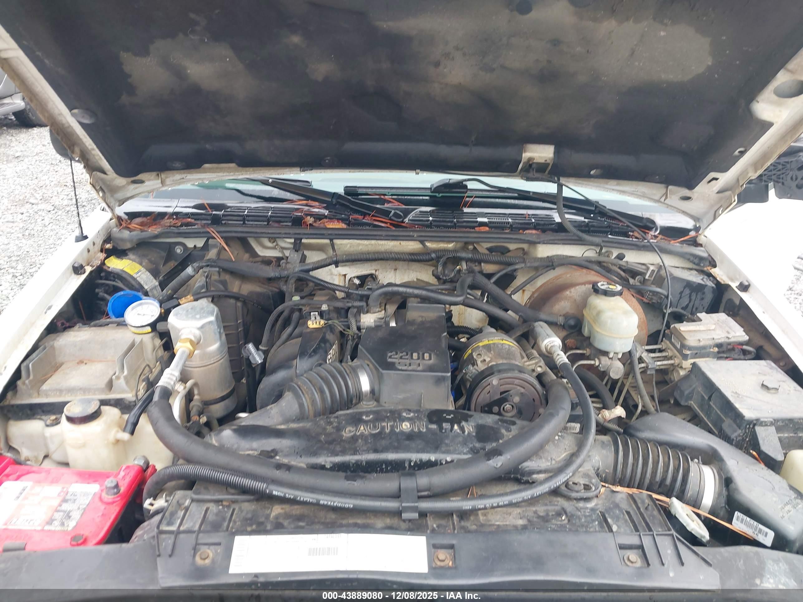CHEVROLET S-10 image 10