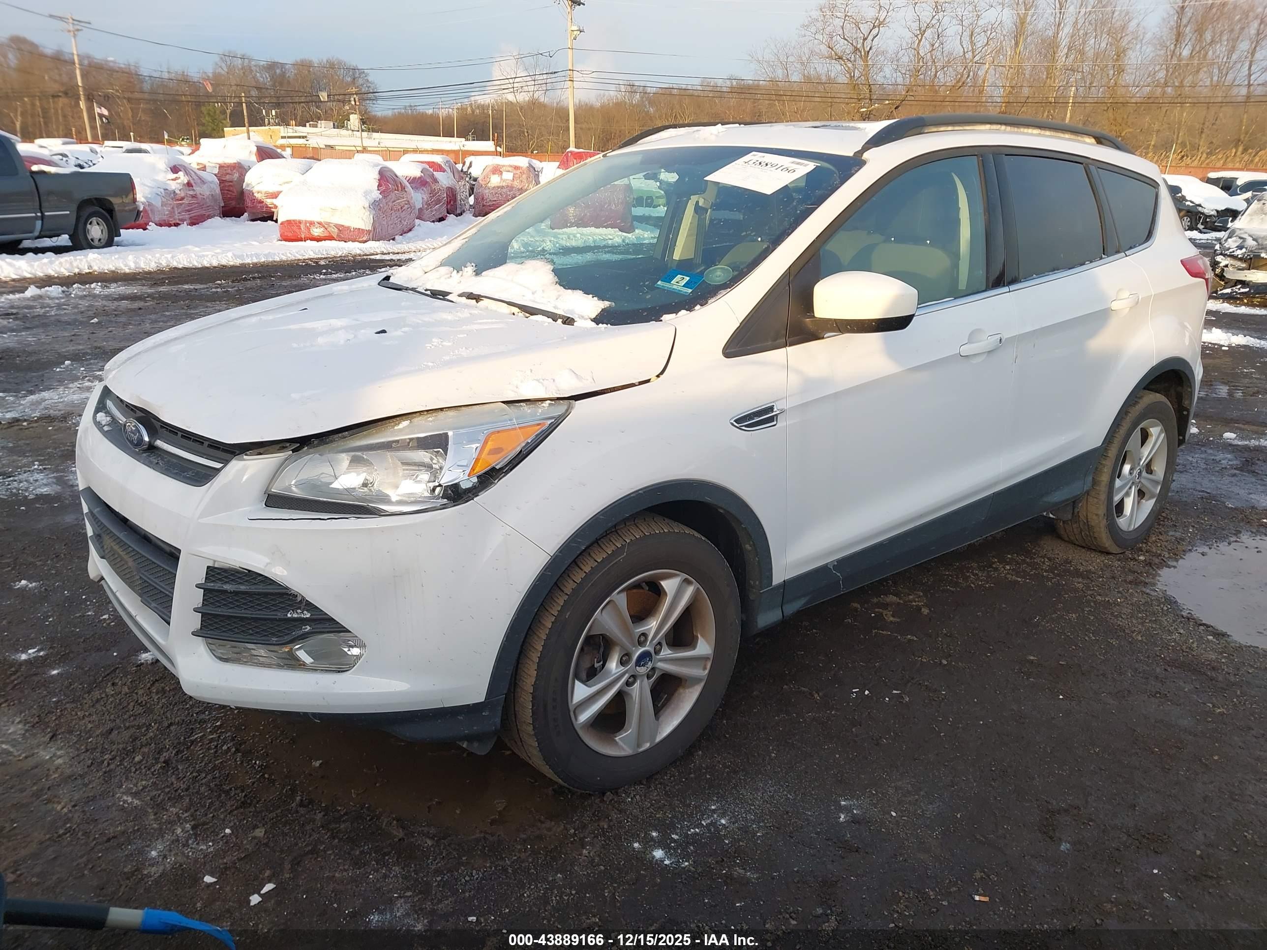 FORD ESCAPE image 2