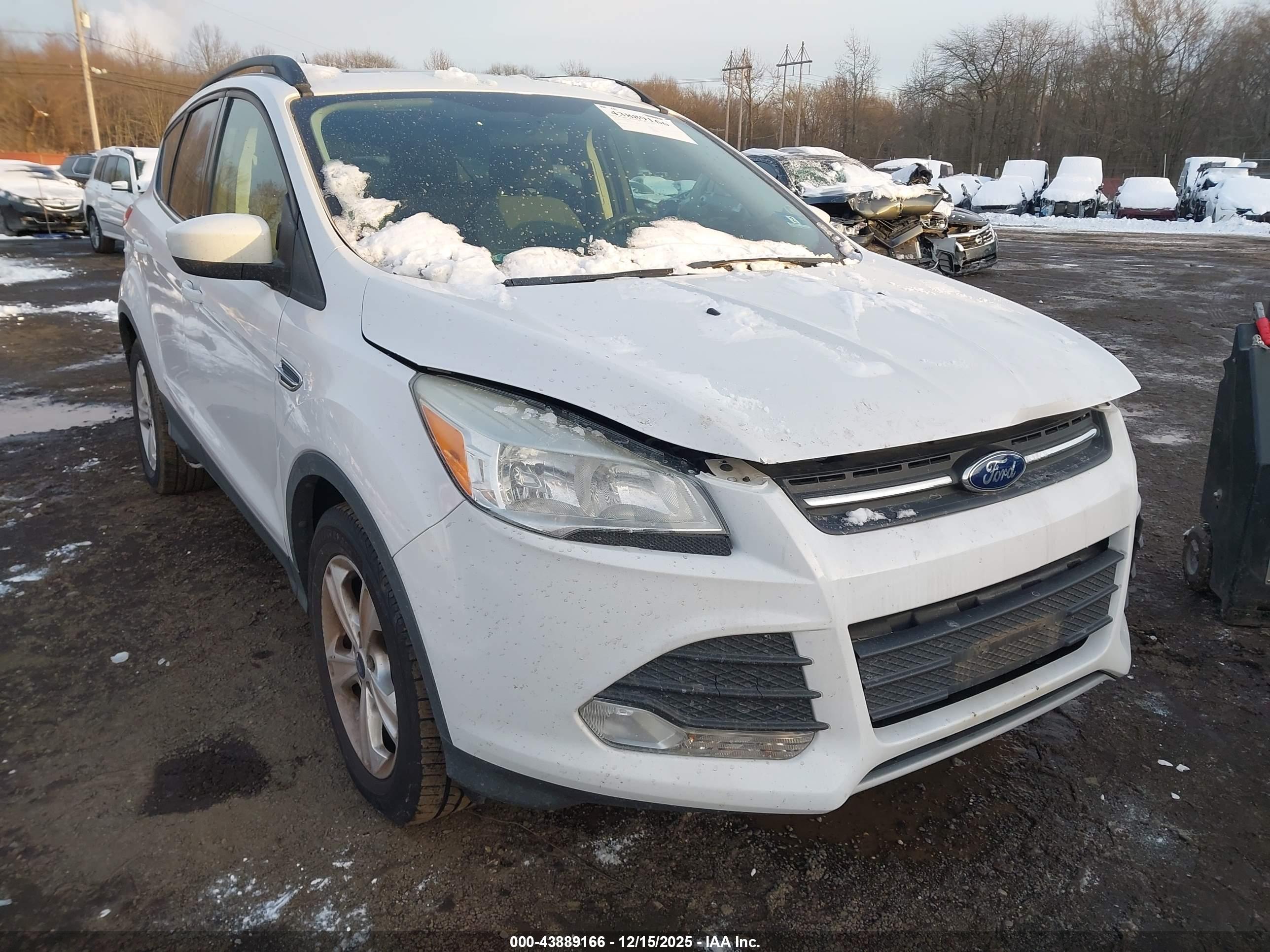 FORD ESCAPE image 6
