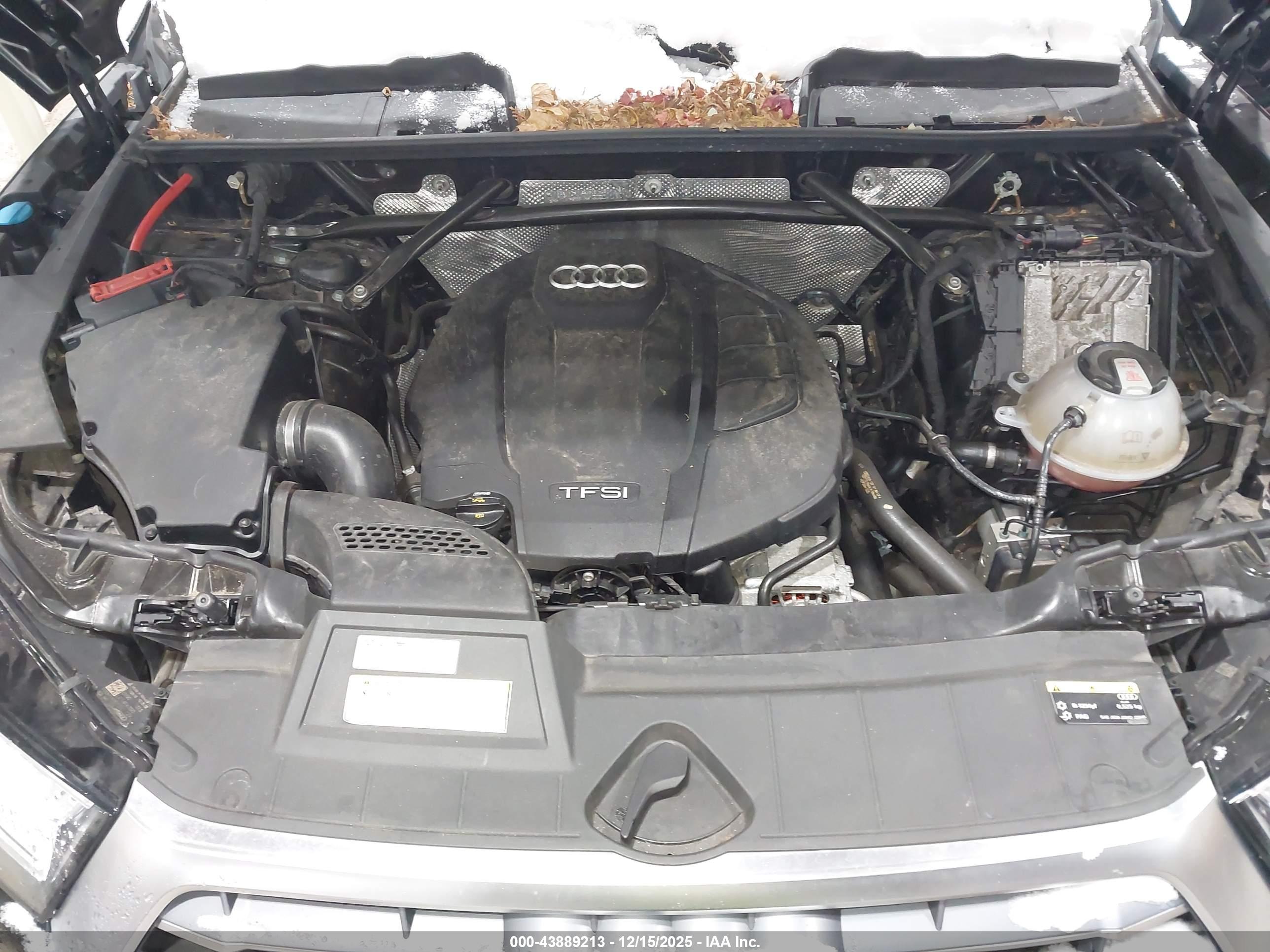AUDI Q5 image 10
