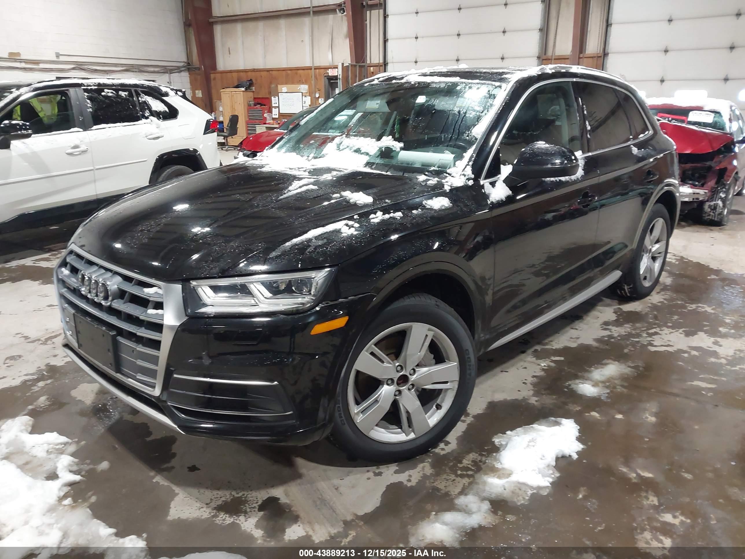 AUDI Q5 image 2
