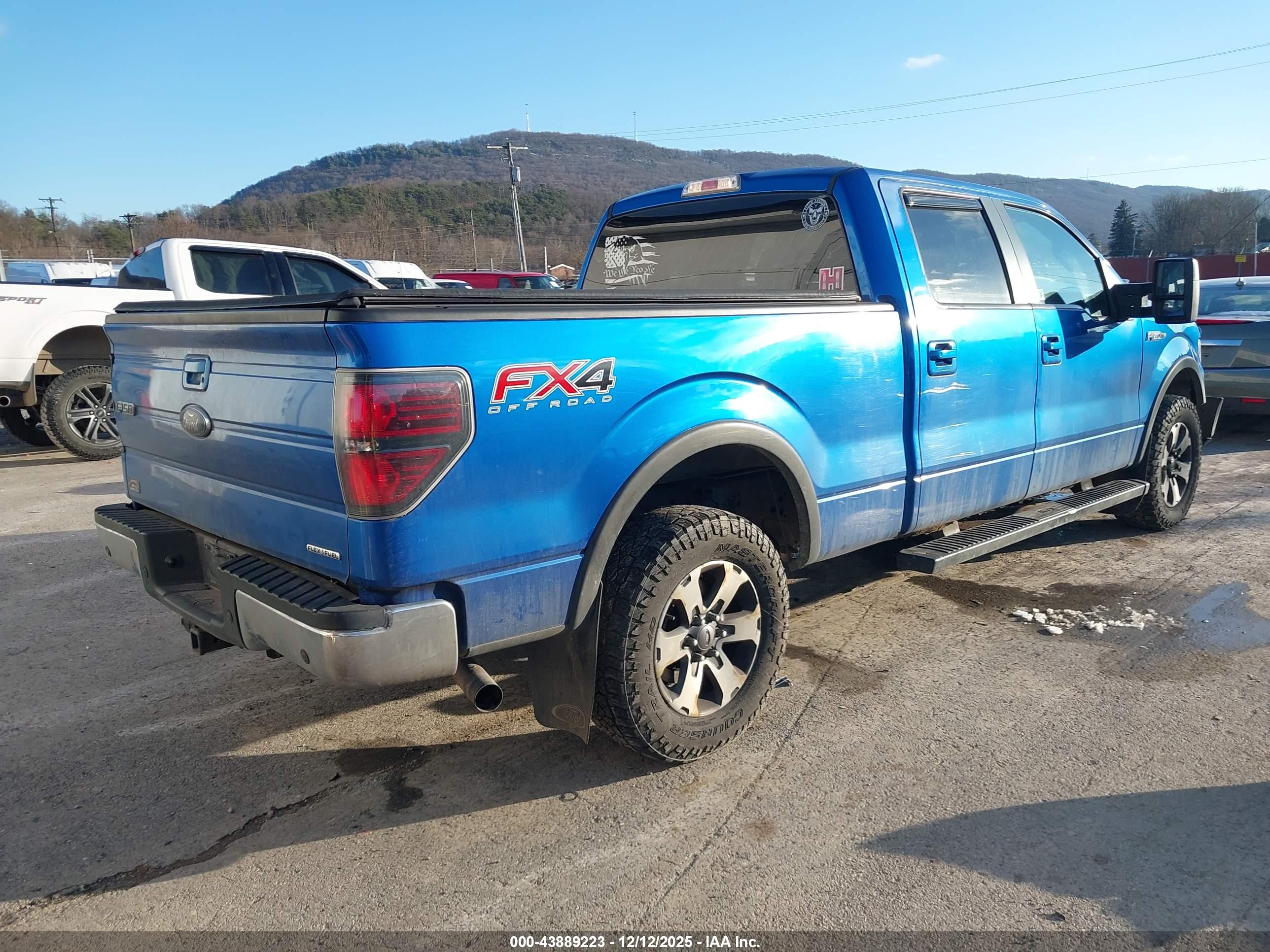 FORD F-150 image 4