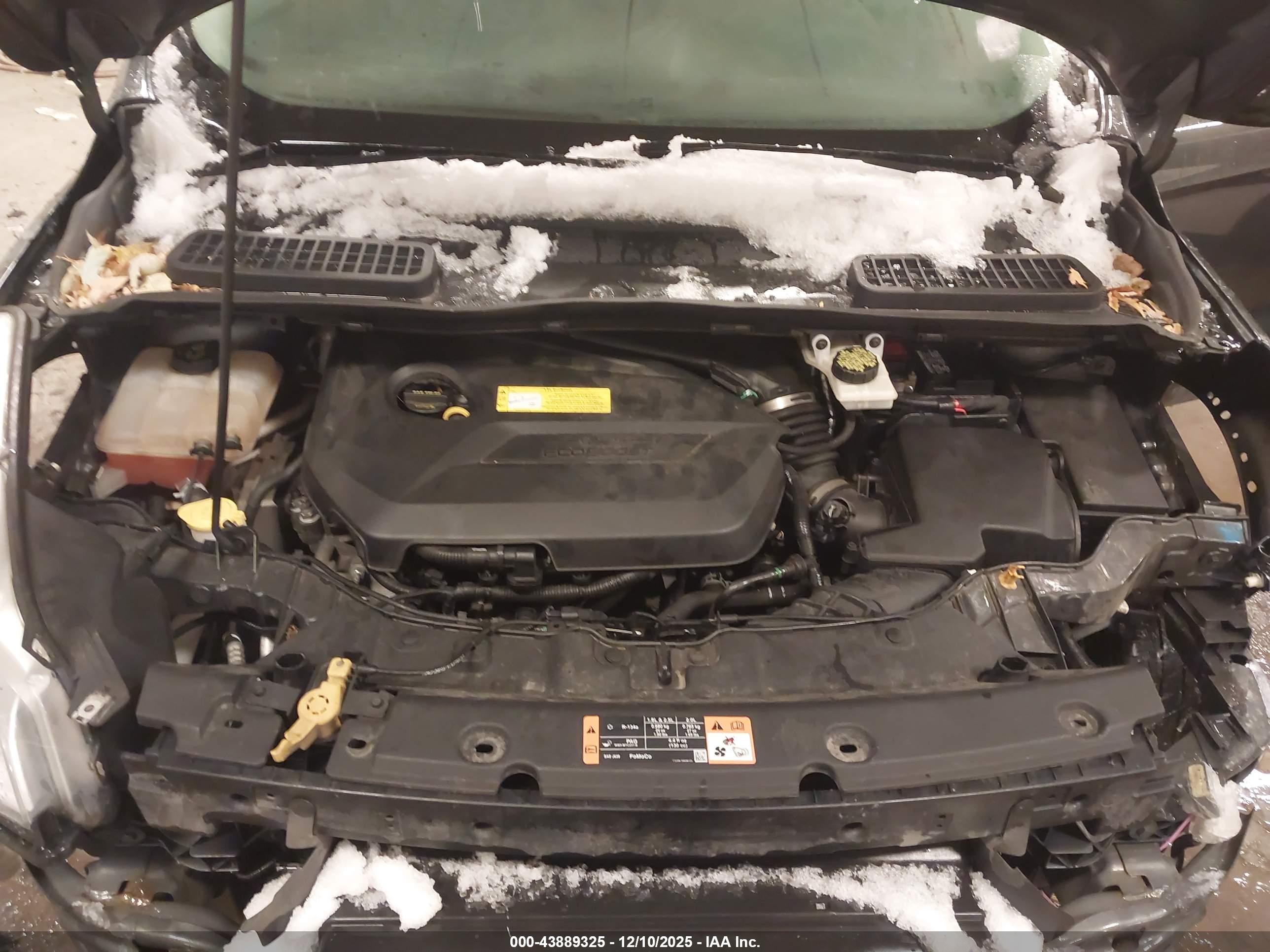 FORD ESCAPE image 10