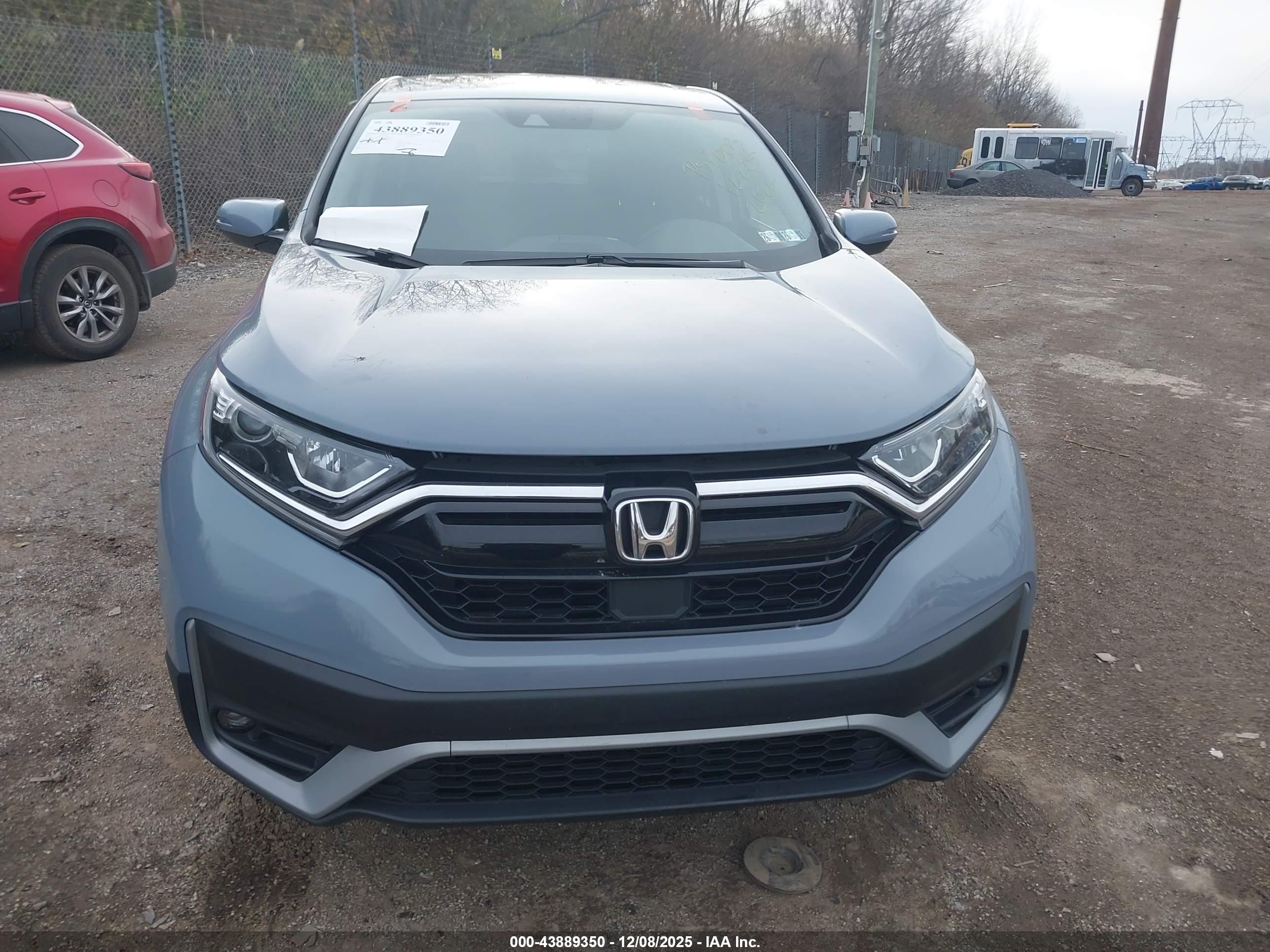HONDA CR-V image 6