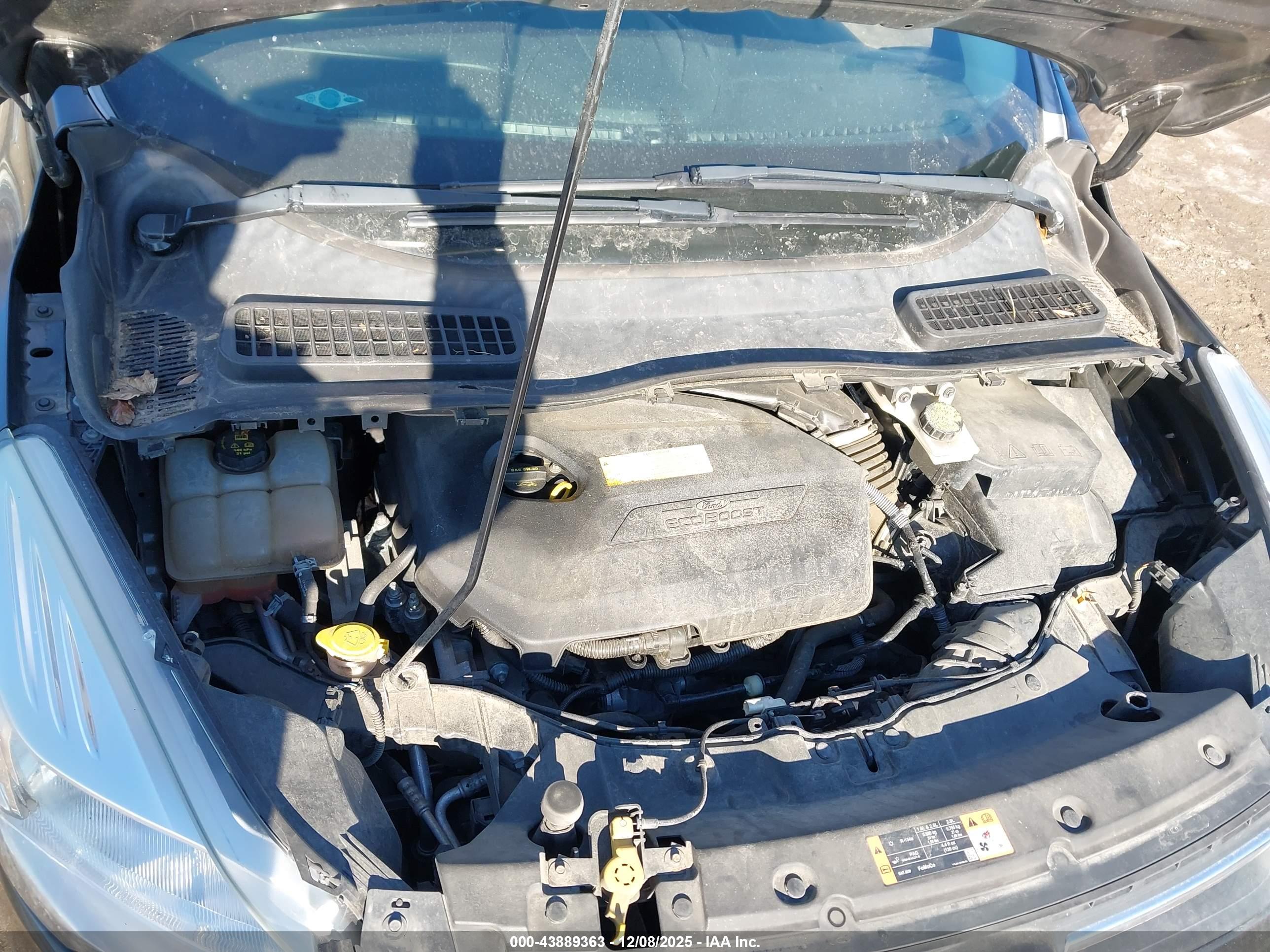 FORD ESCAPE image 10