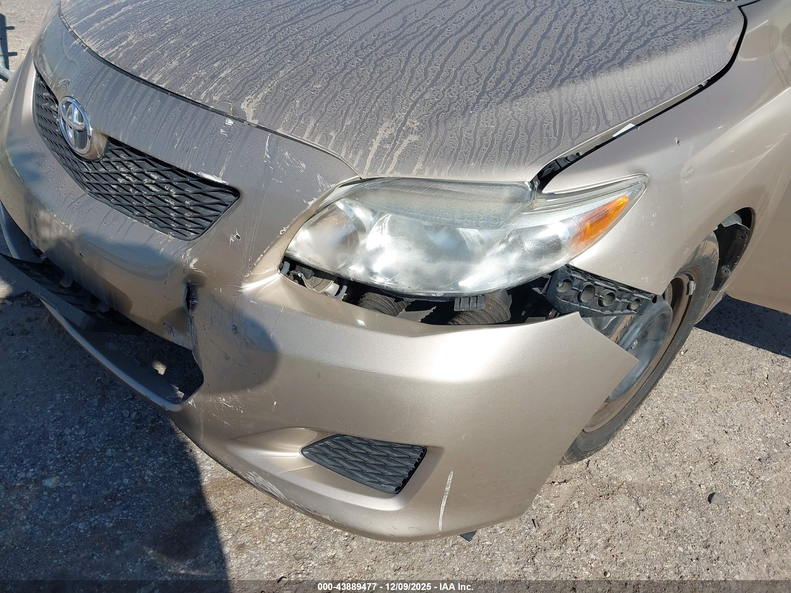 TOYOTA COROLLA image 6