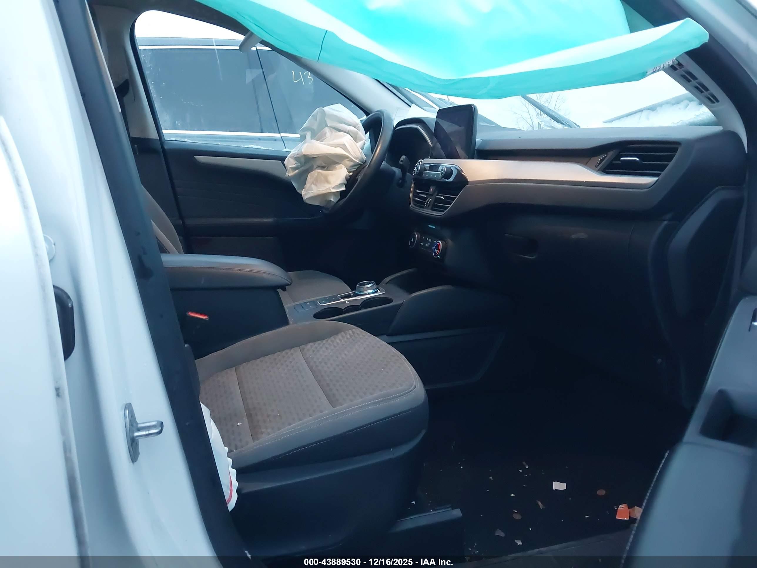 FORD ESCAPE image 5