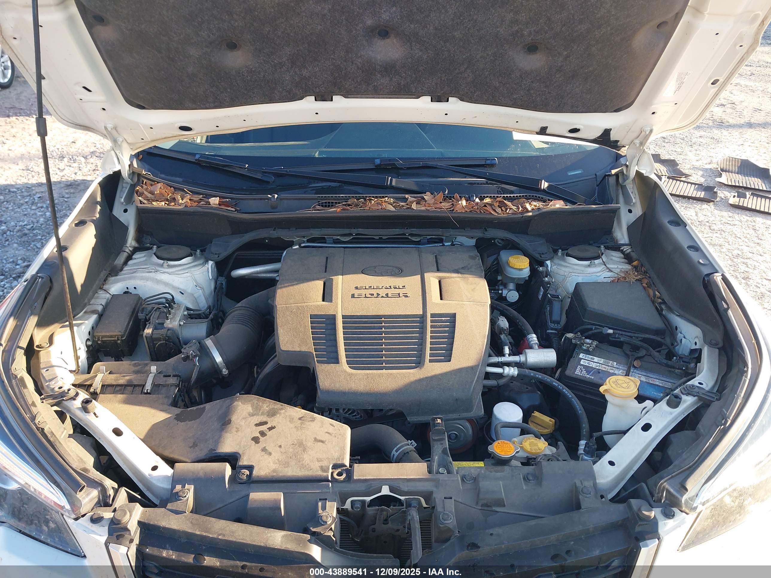 SUBARU FORESTER image 10