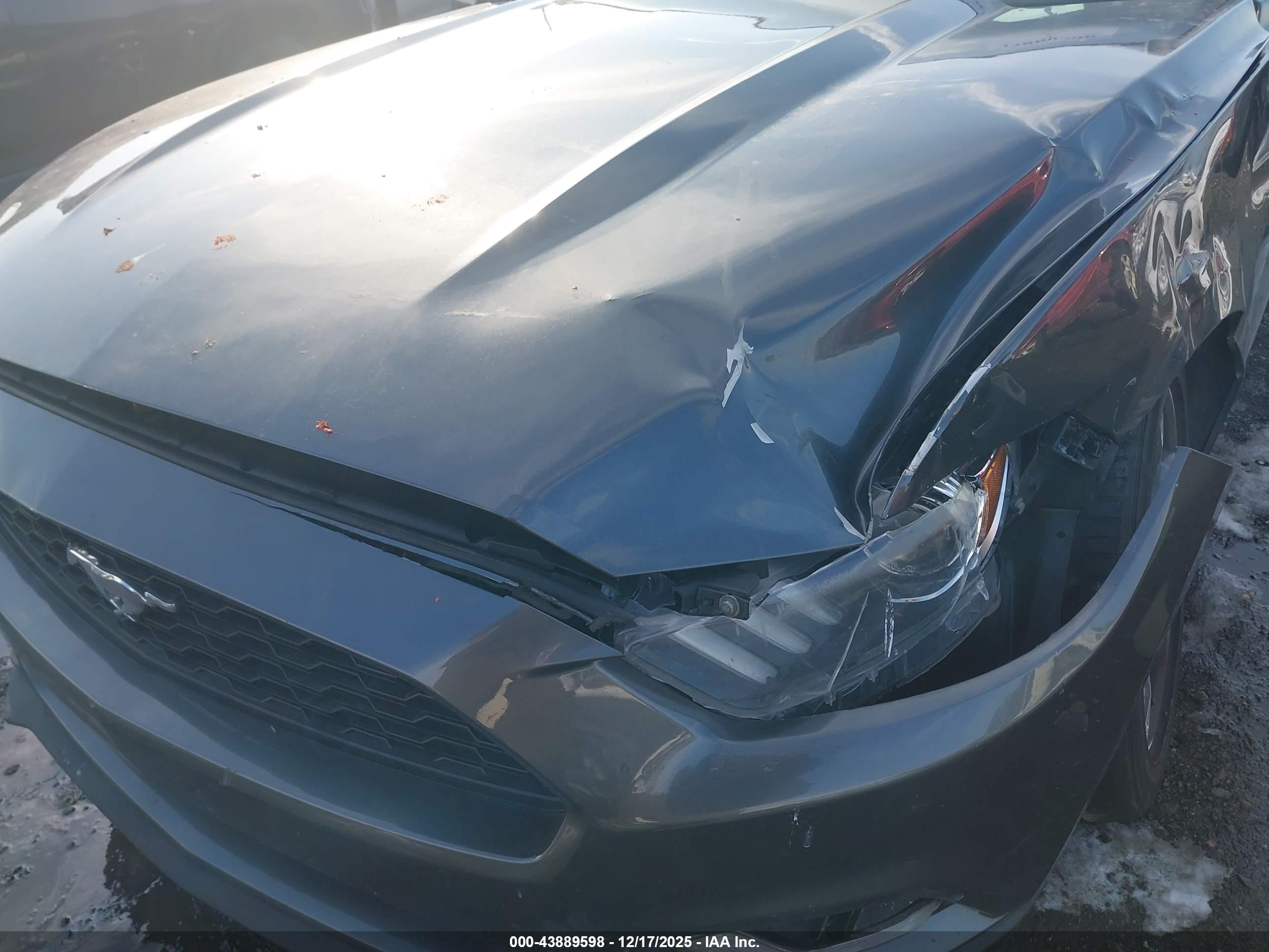 FORD MUSTANG image 10
