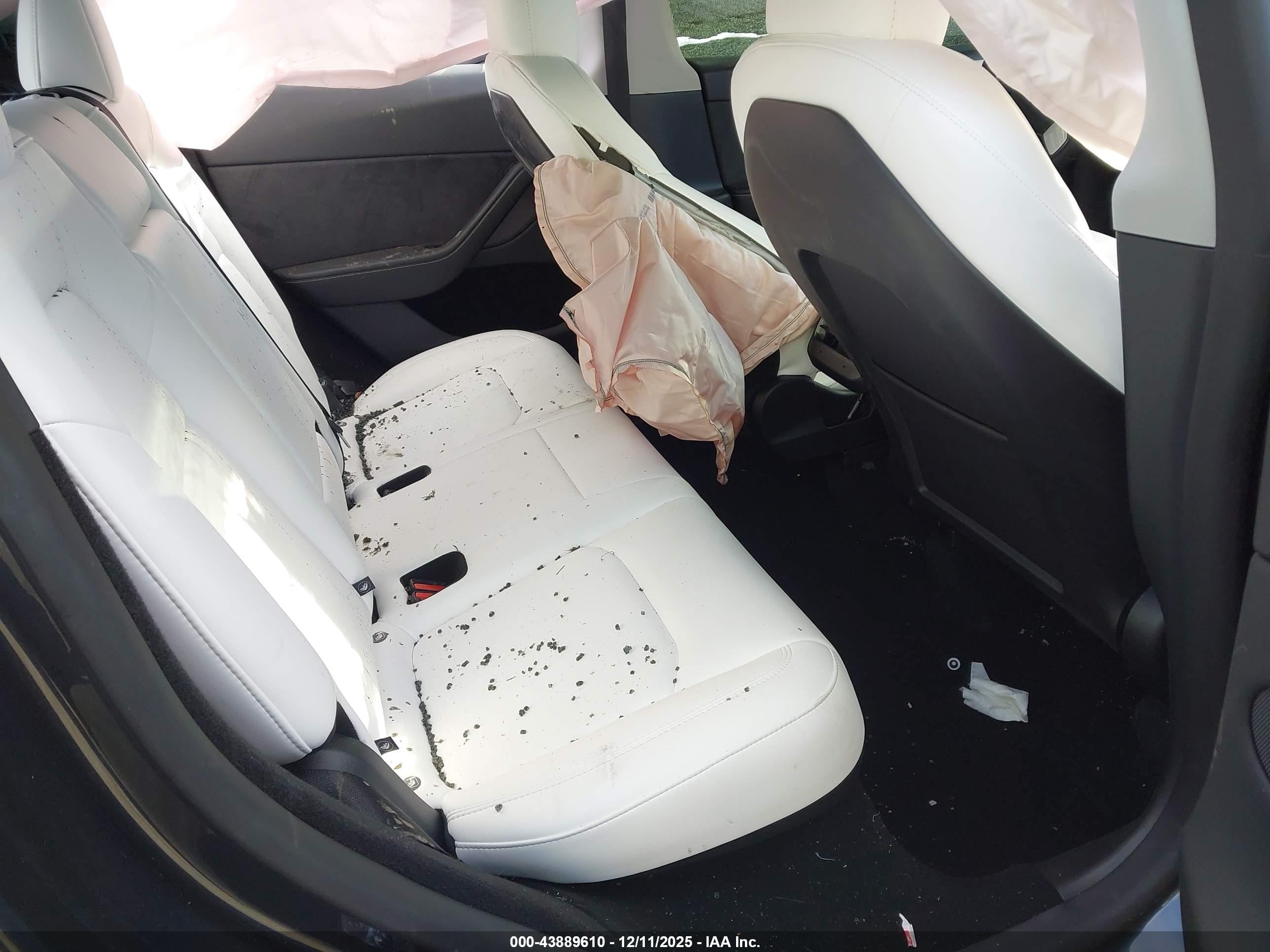 TESLA MODEL image 8