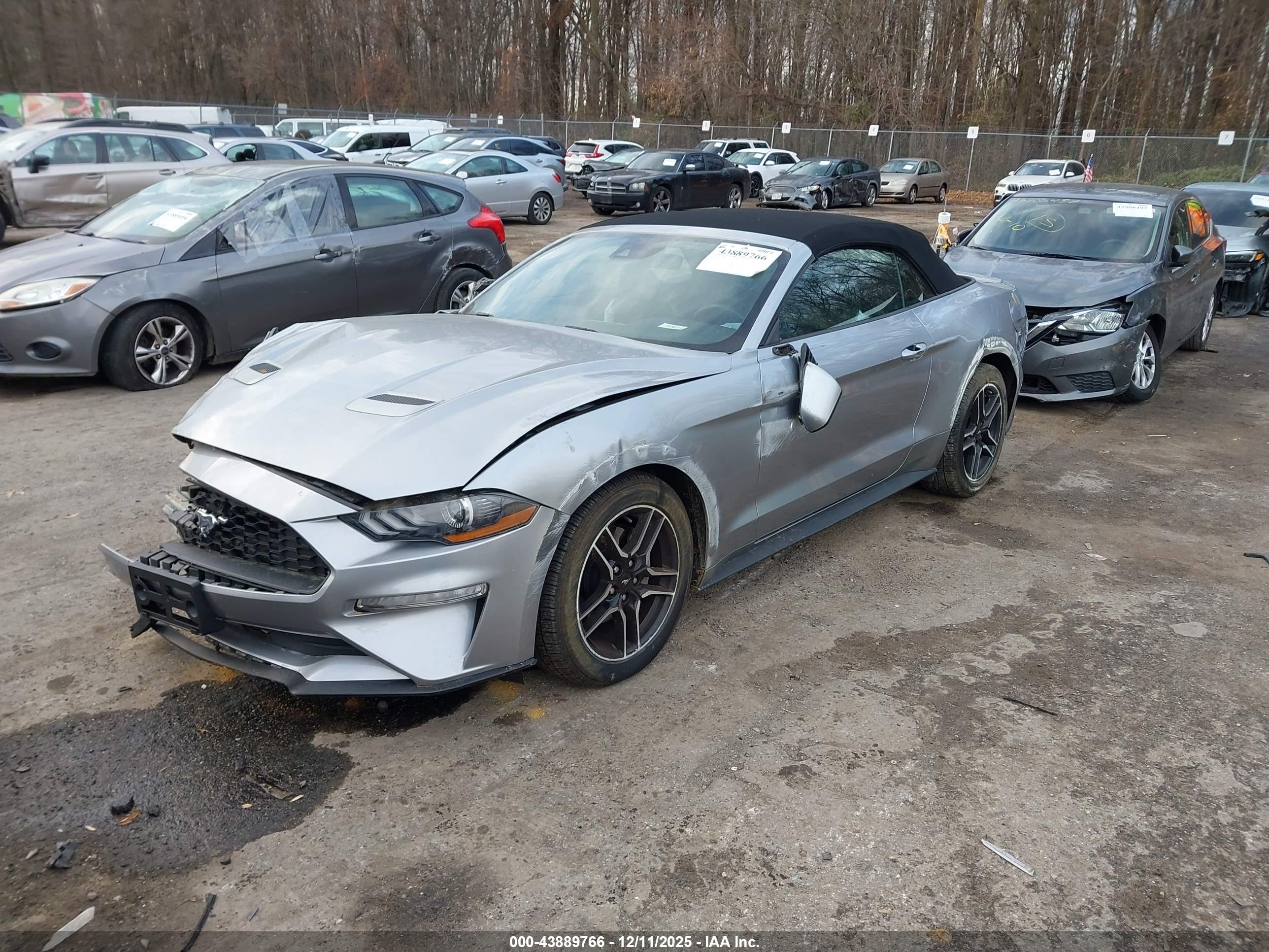 FORD MUSTANG image 2