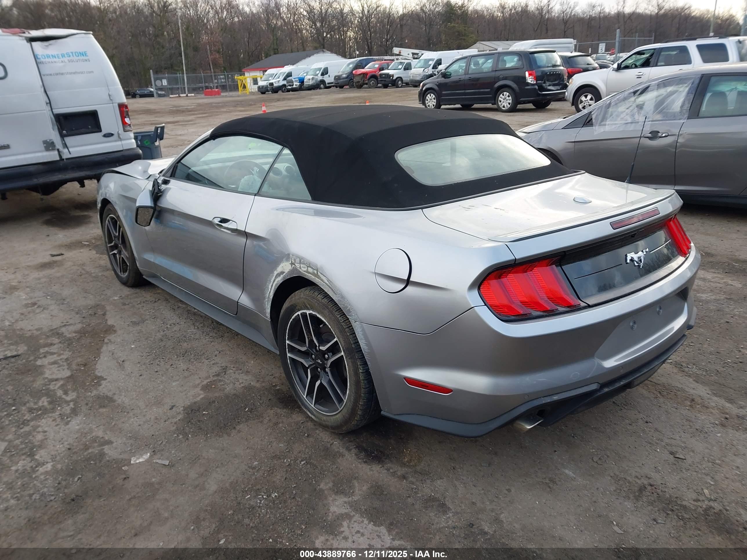 FORD MUSTANG image 3