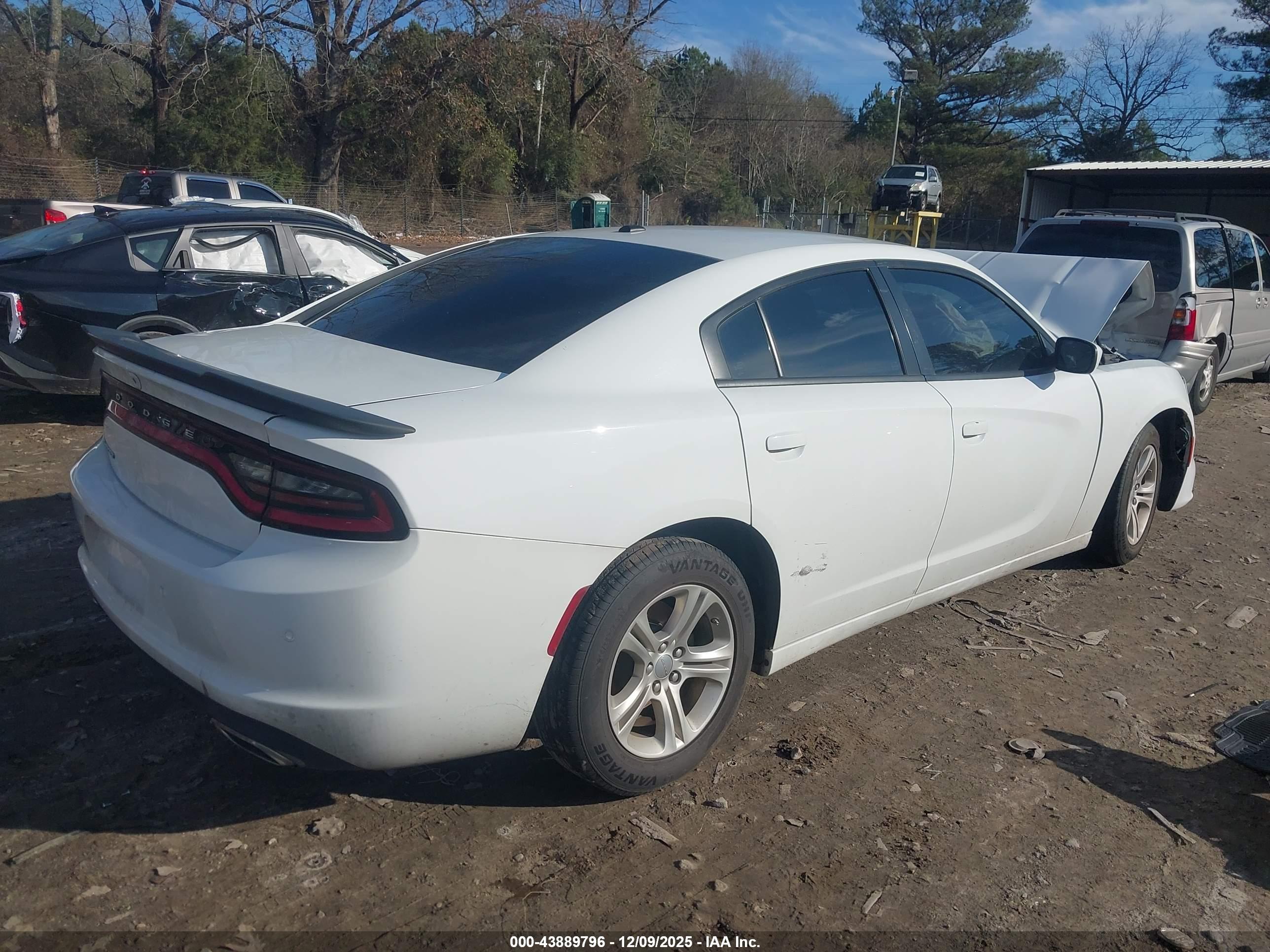 DODGE CHARGER image 4