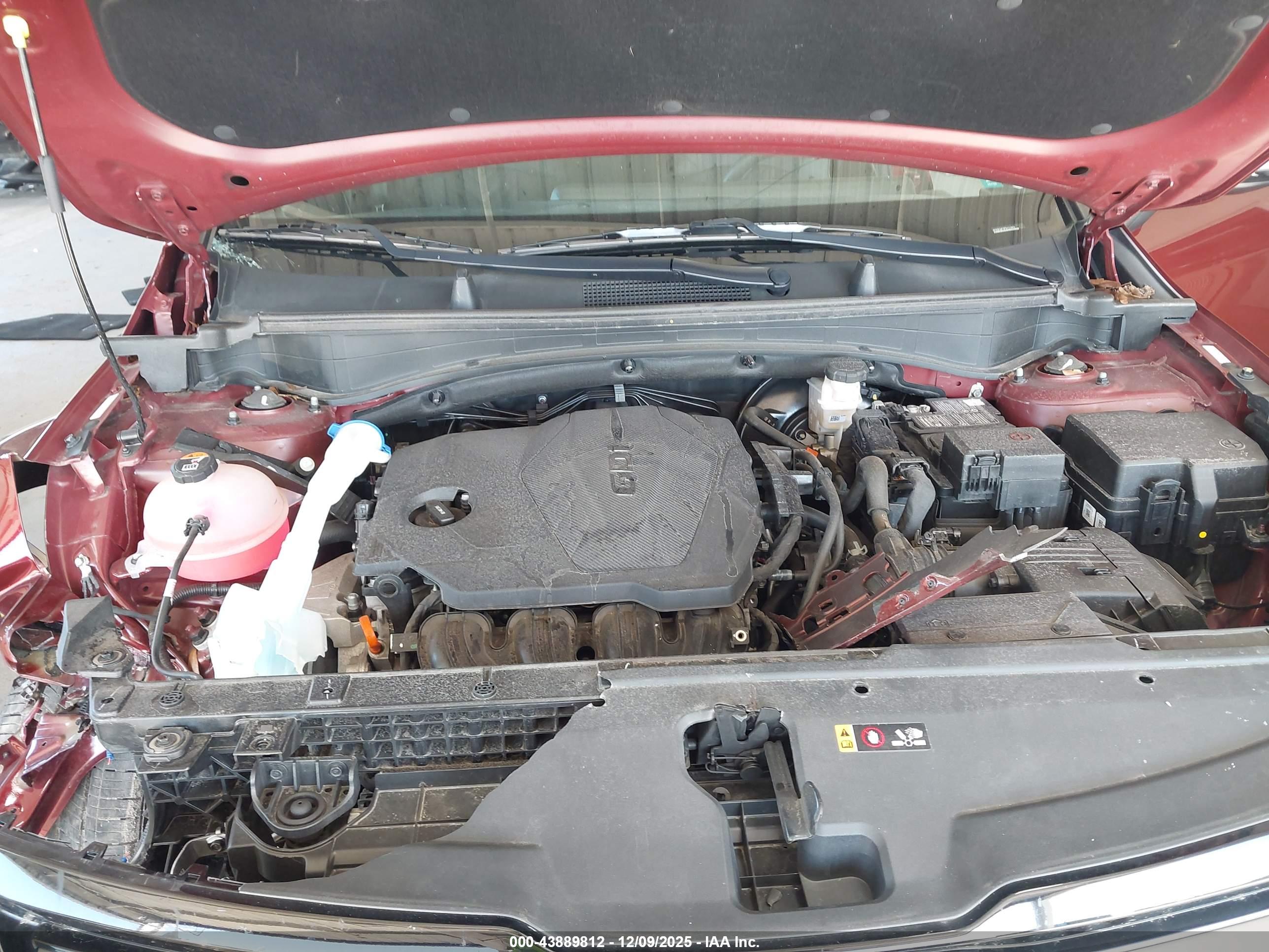 KIA SPORTAGE image 10