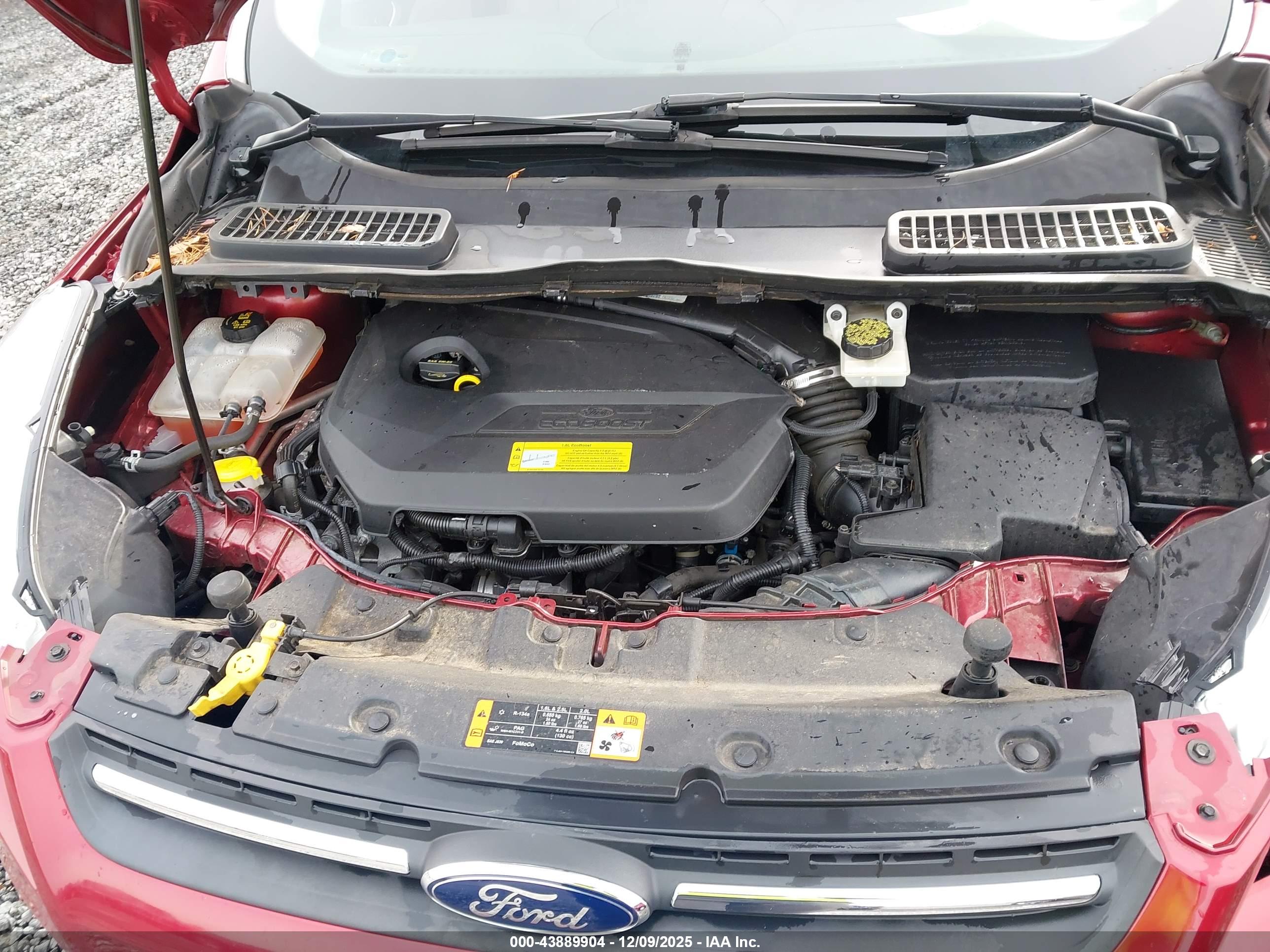FORD ESCAPE image 10