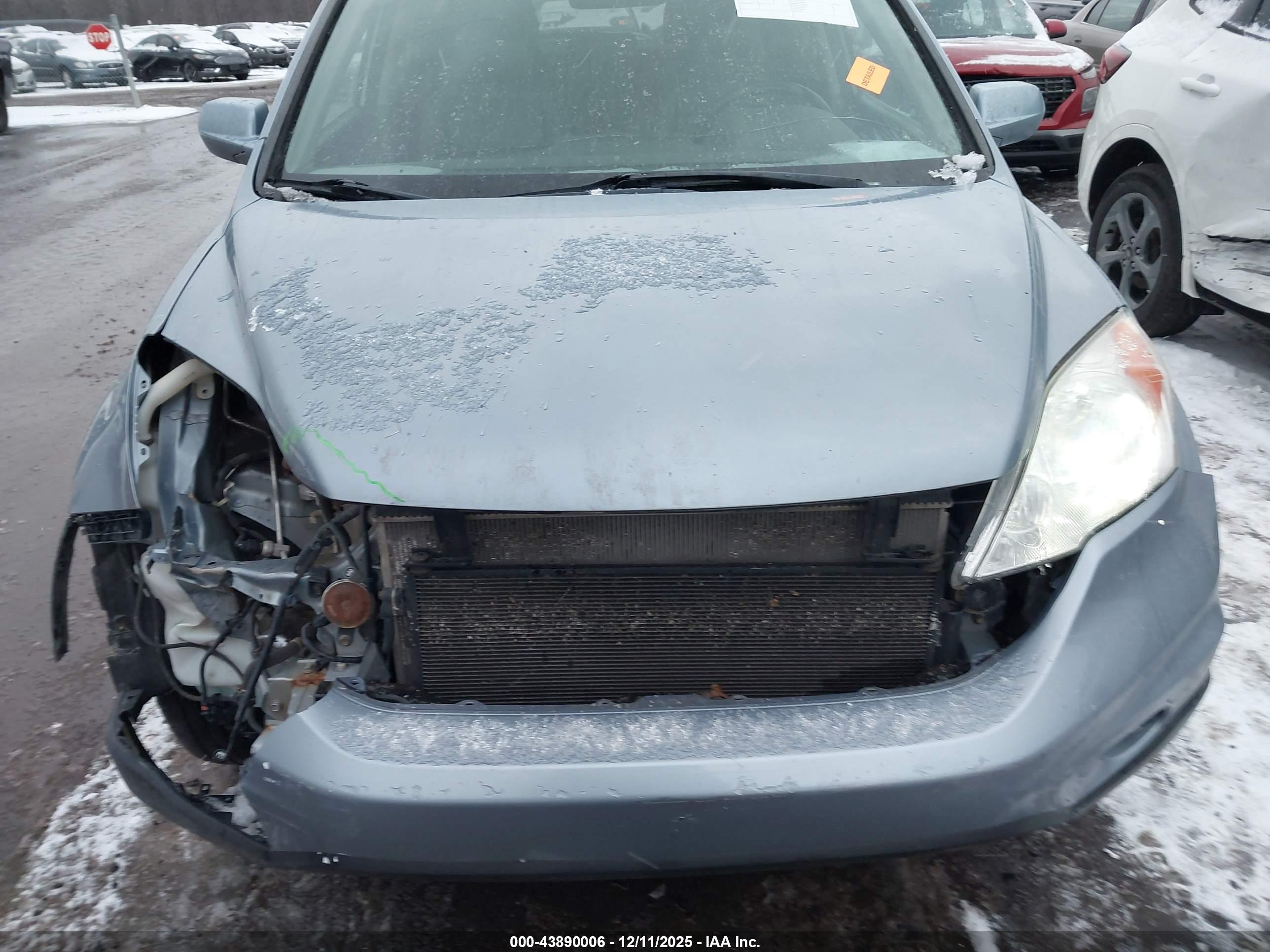 HONDA CR-V image 6