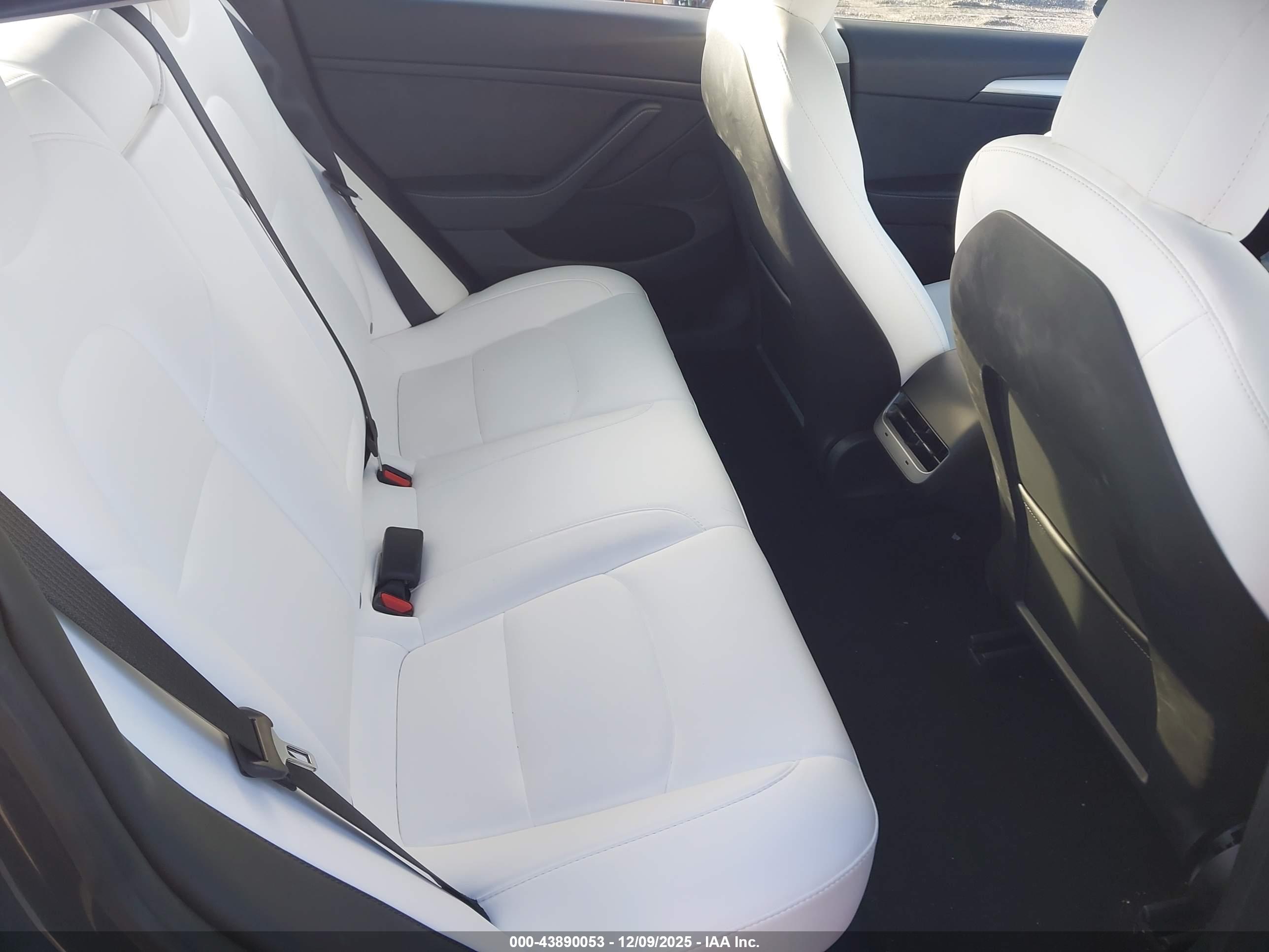 TESLA MODEL image 8