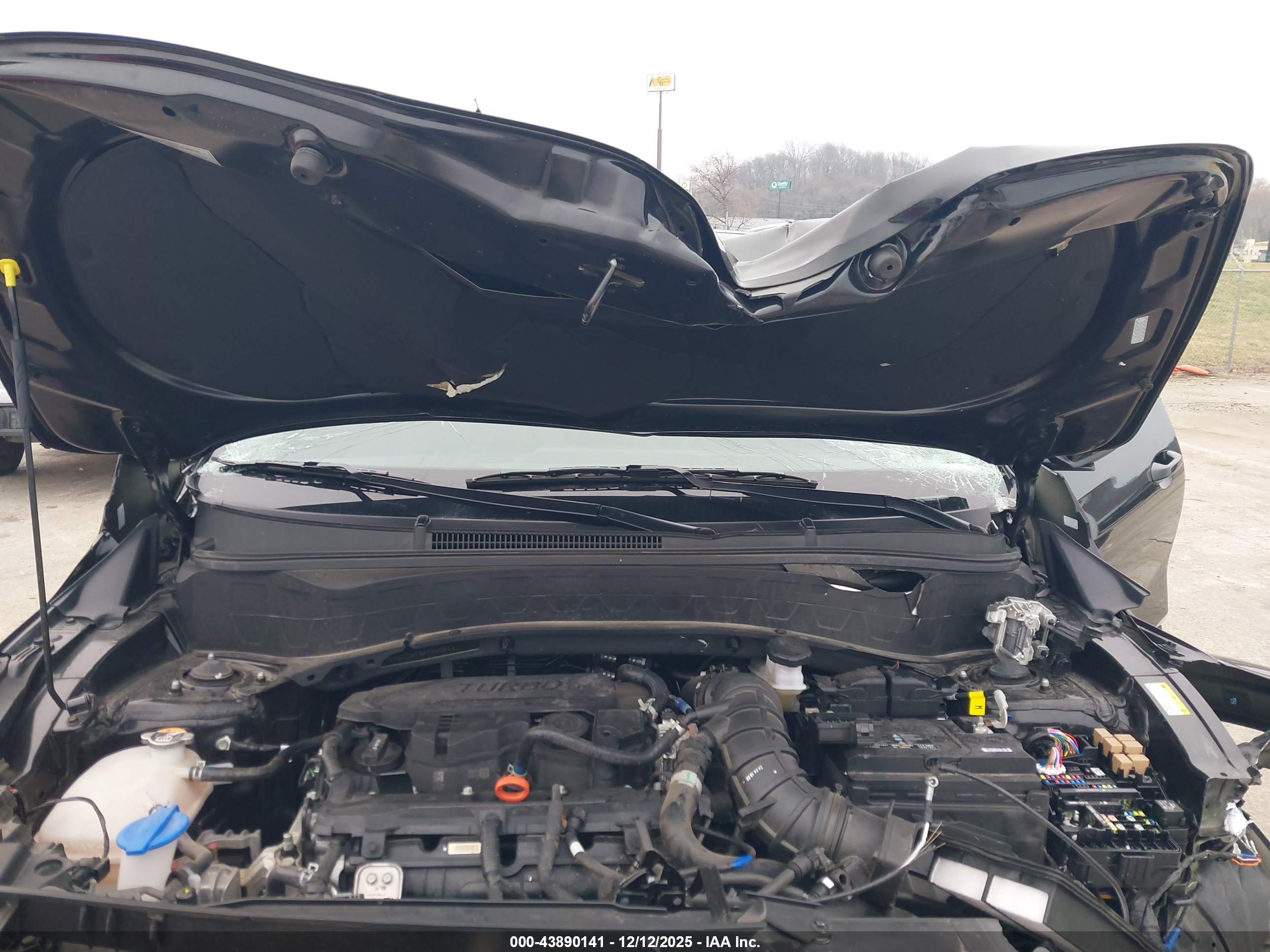 KIA SELTOS image 10