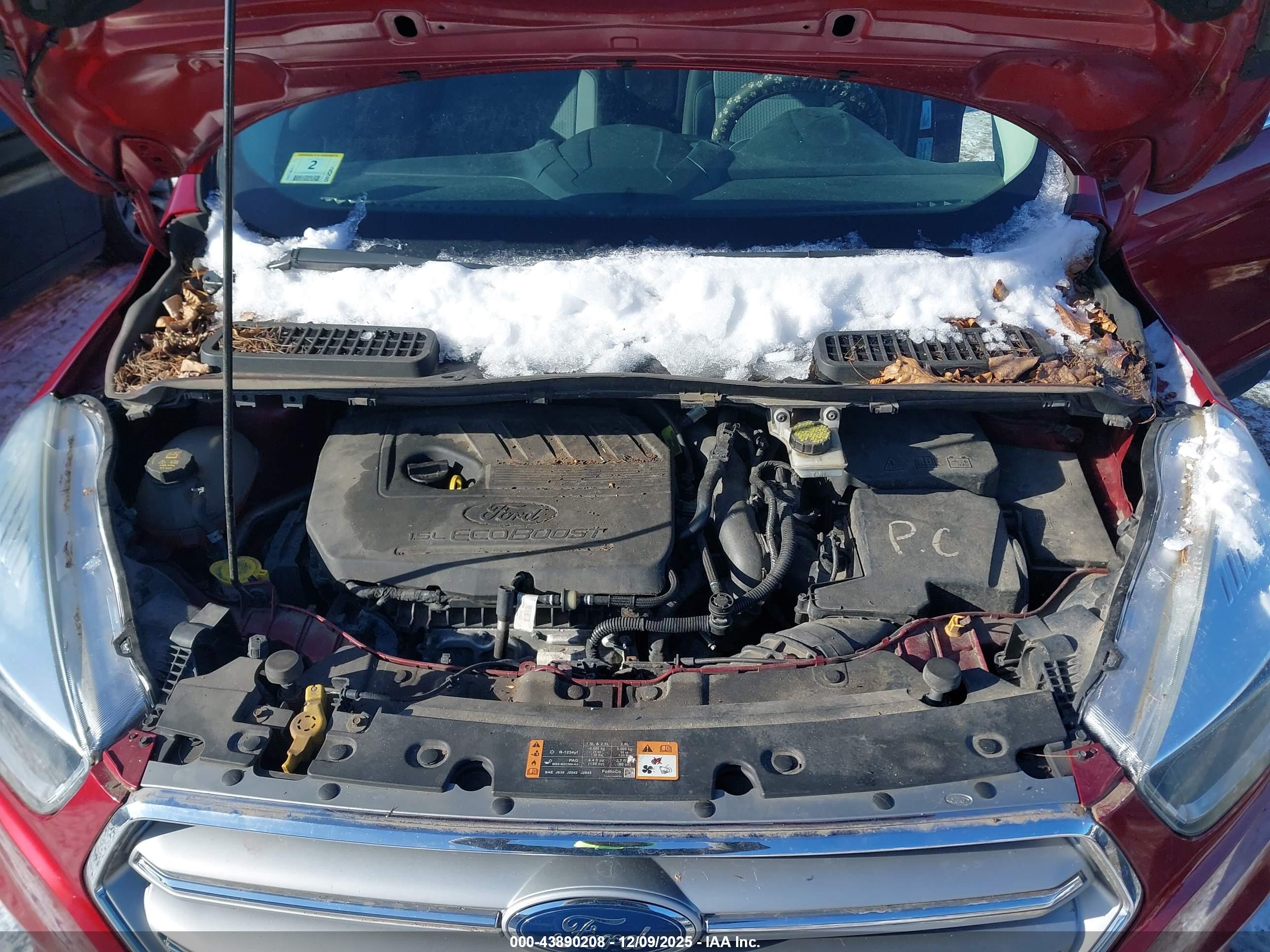 FORD ESCAPE image 10
