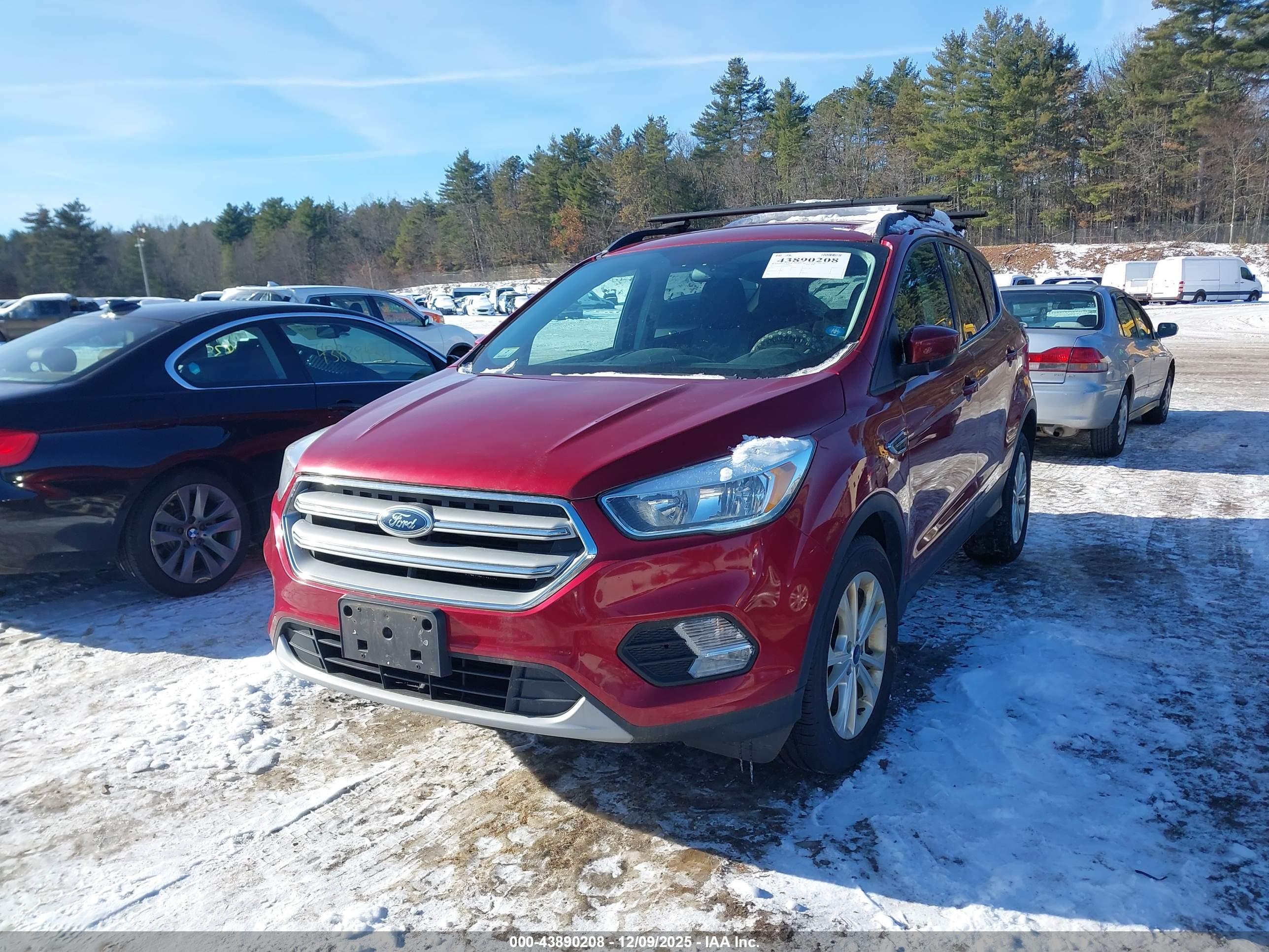 FORD ESCAPE image 2