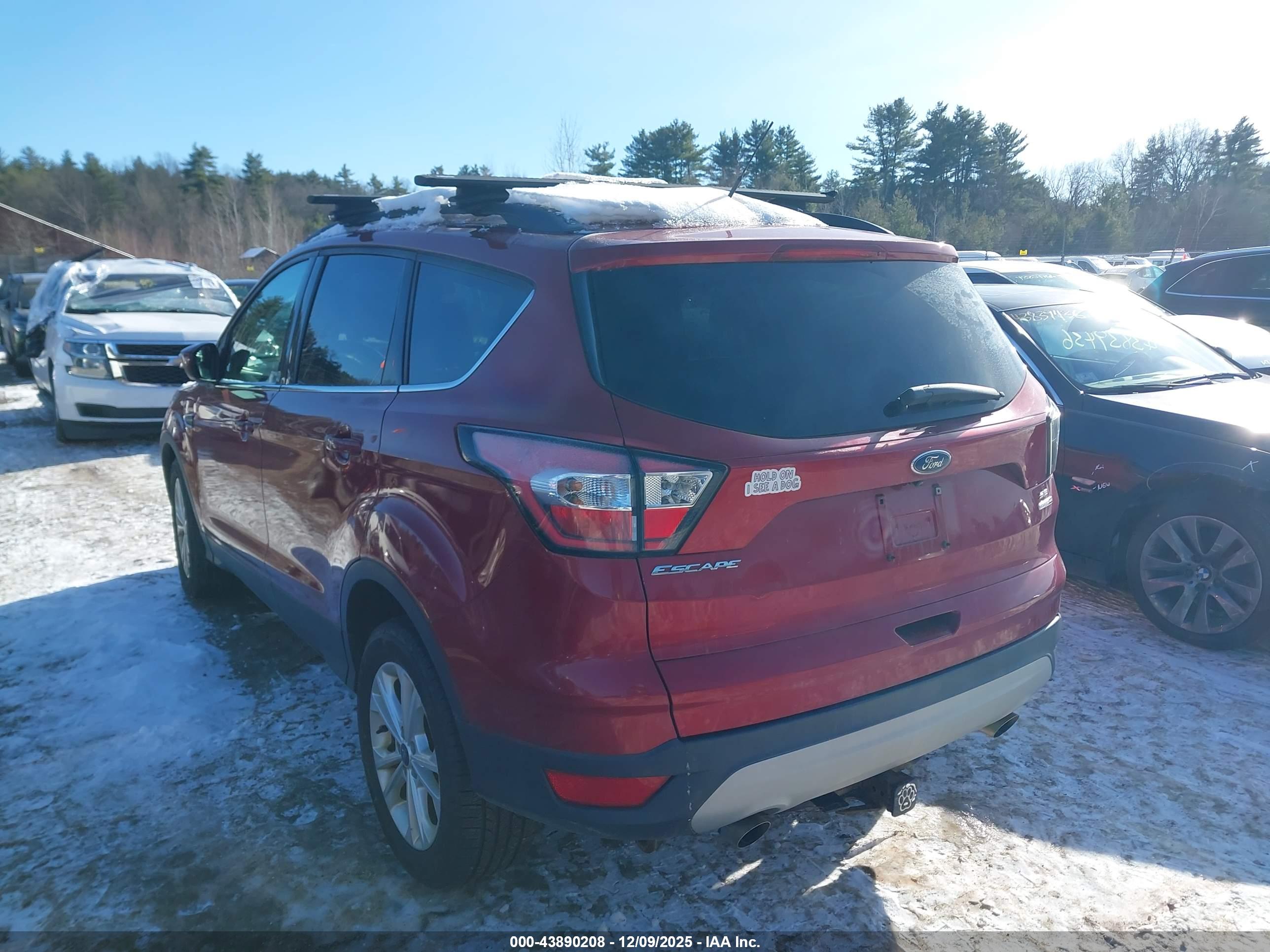 FORD ESCAPE image 3