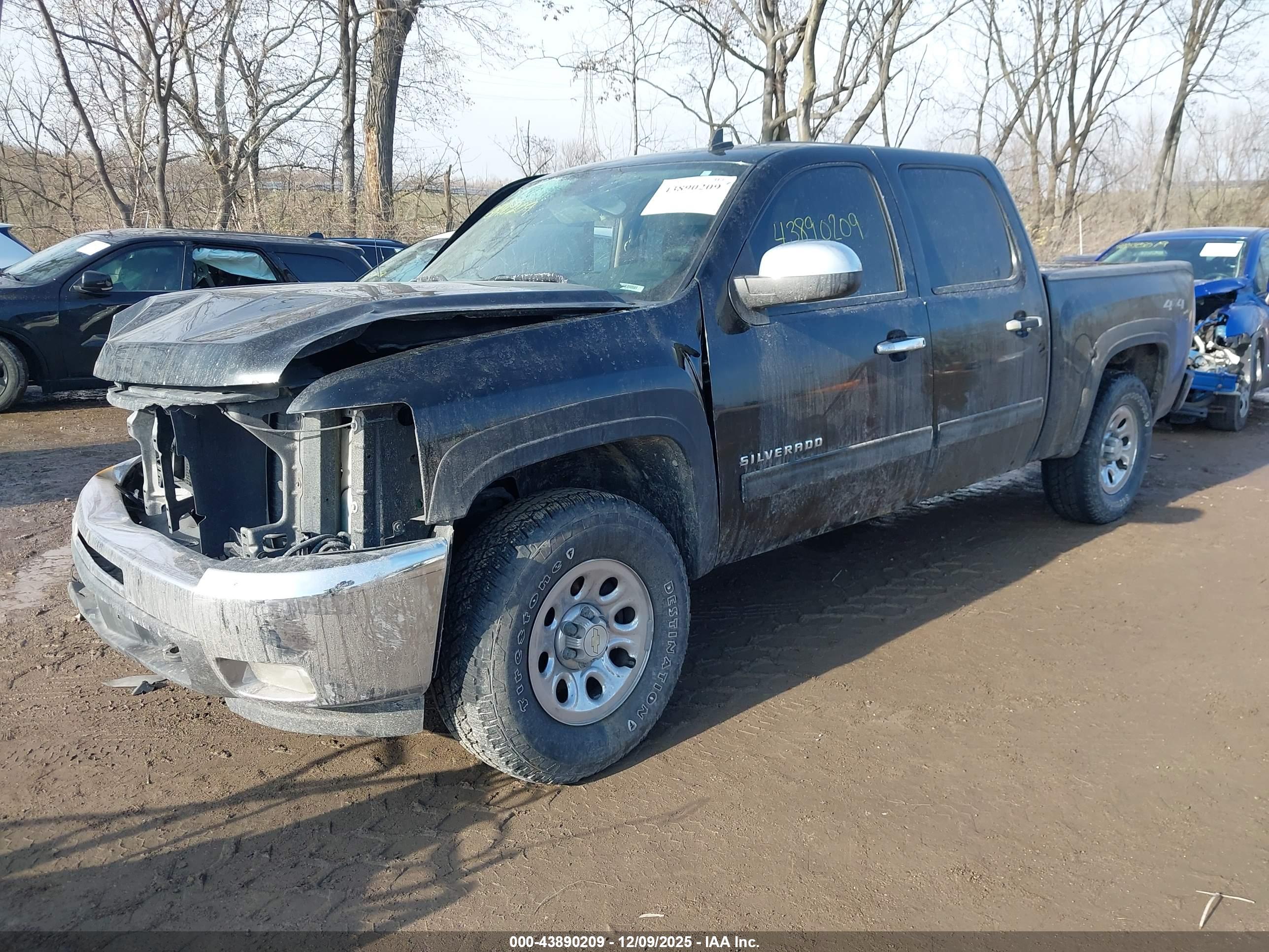 CHEVROLET SILVERADO image 2