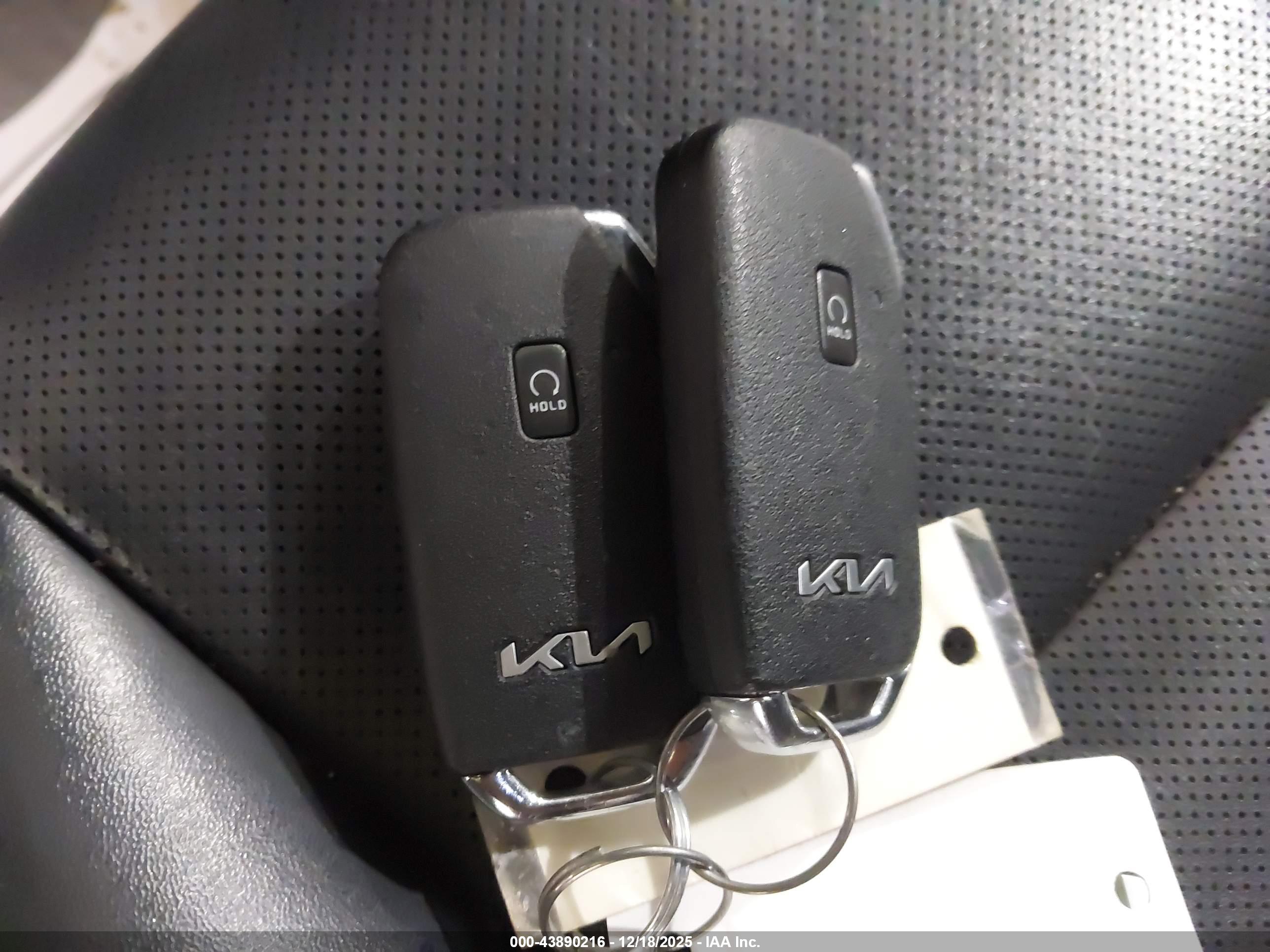 KIA TELLURIDE image 11