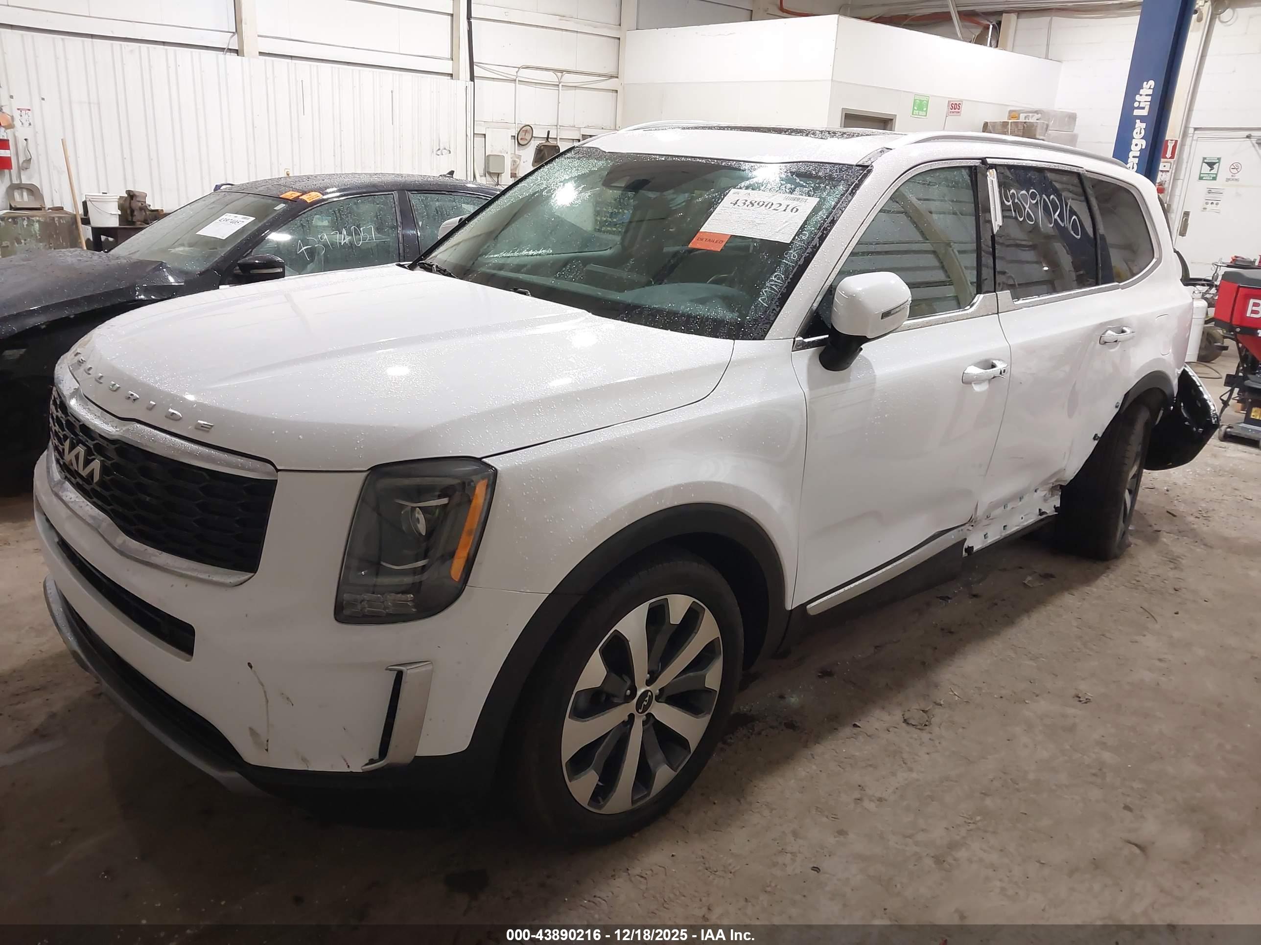 KIA TELLURIDE image 6