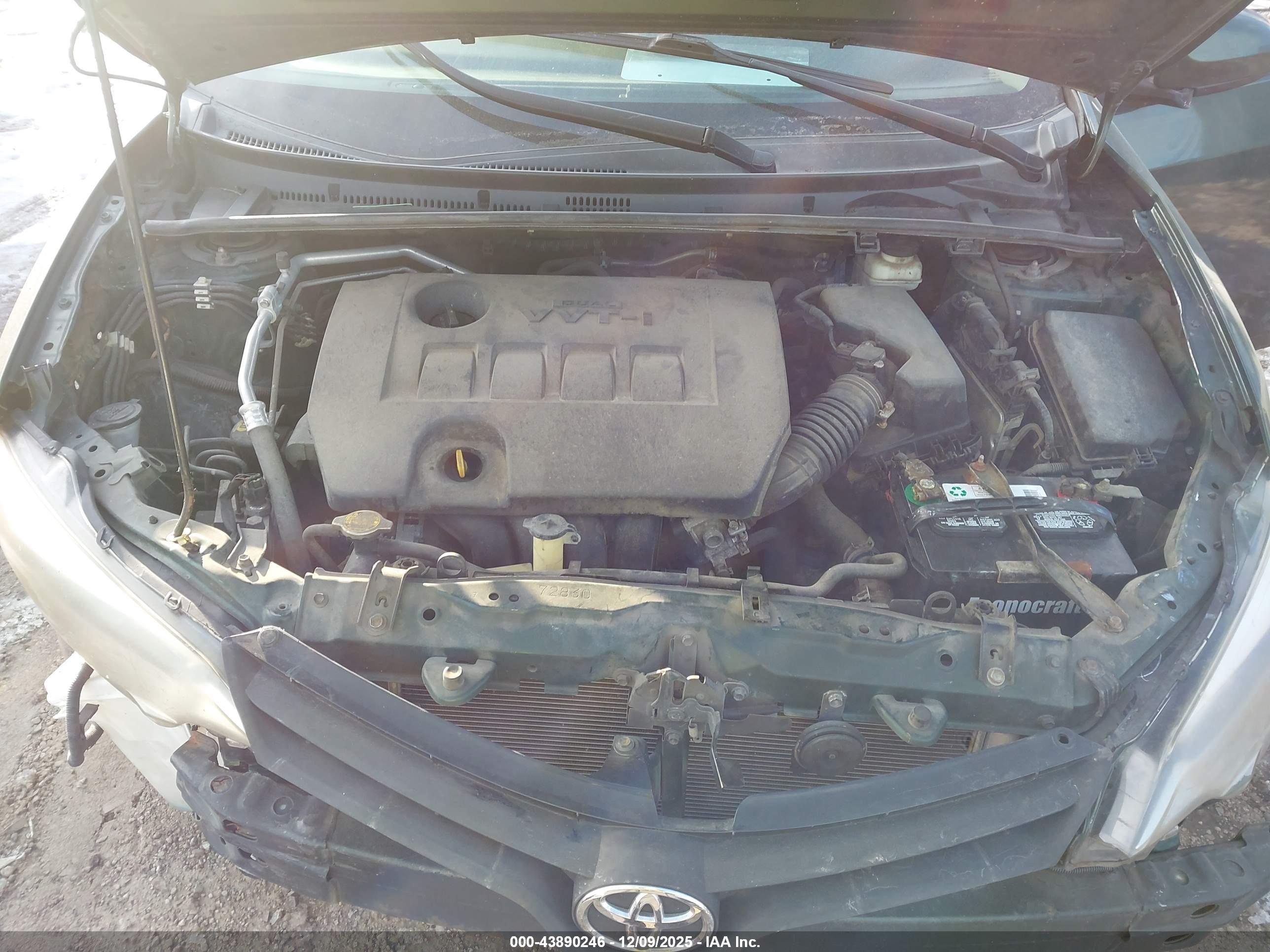 TOYOTA COROLLA image 10