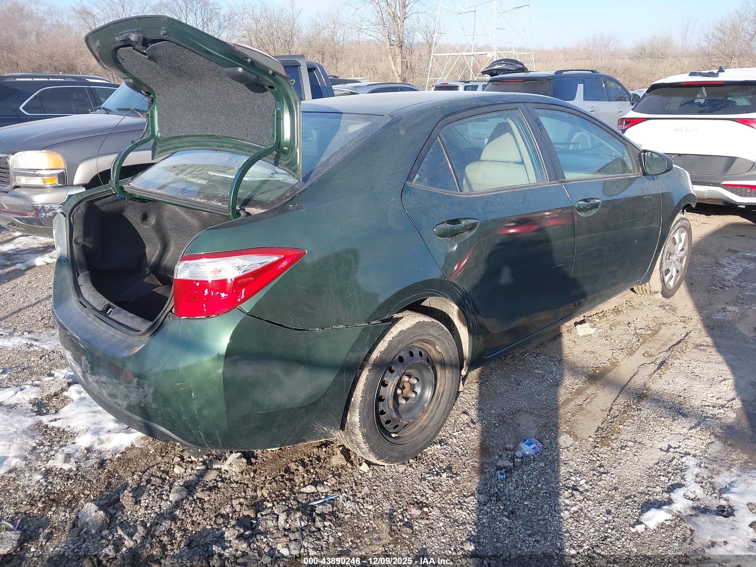 TOYOTA COROLLA image 4