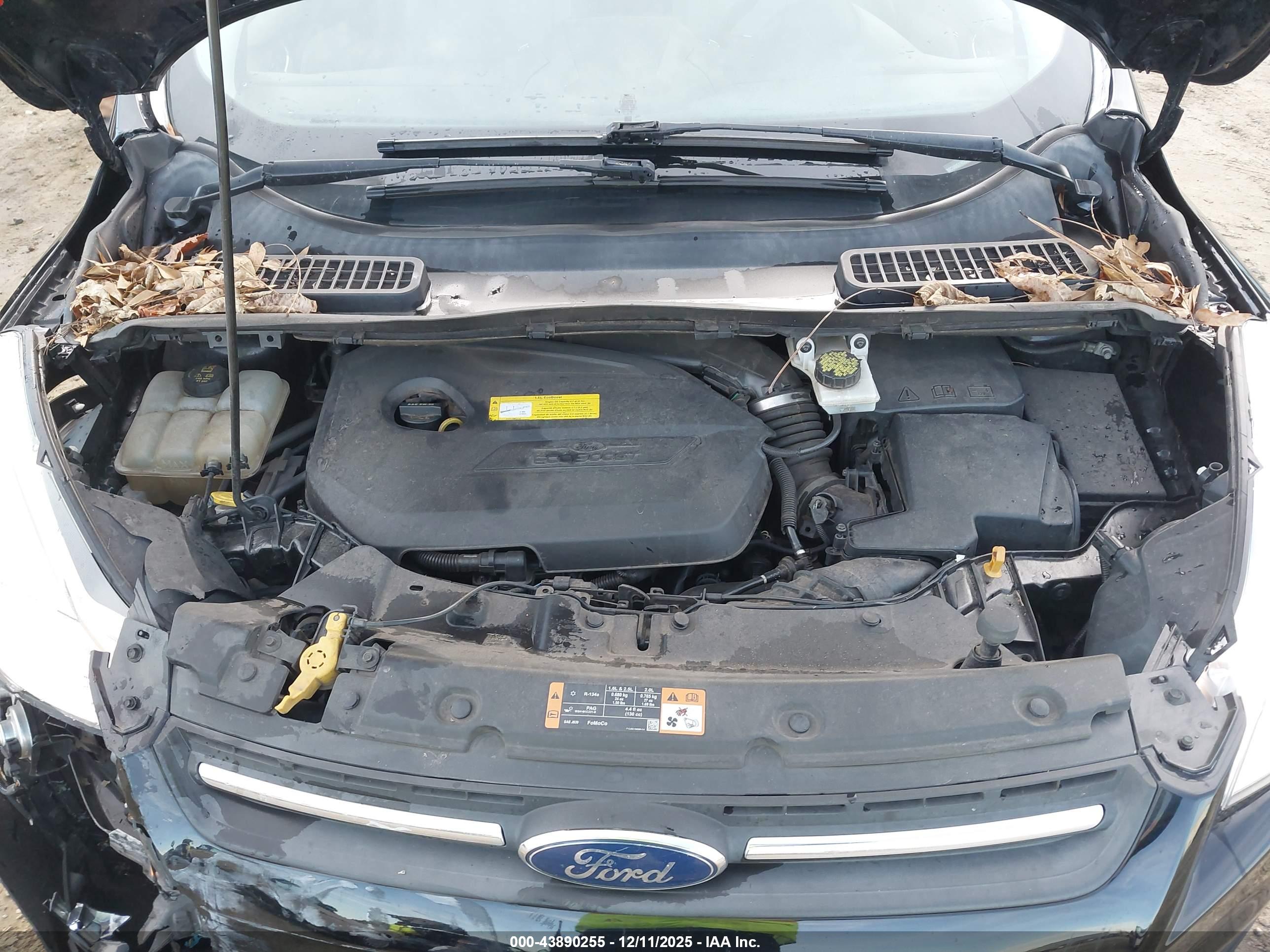 FORD ESCAPE image 10