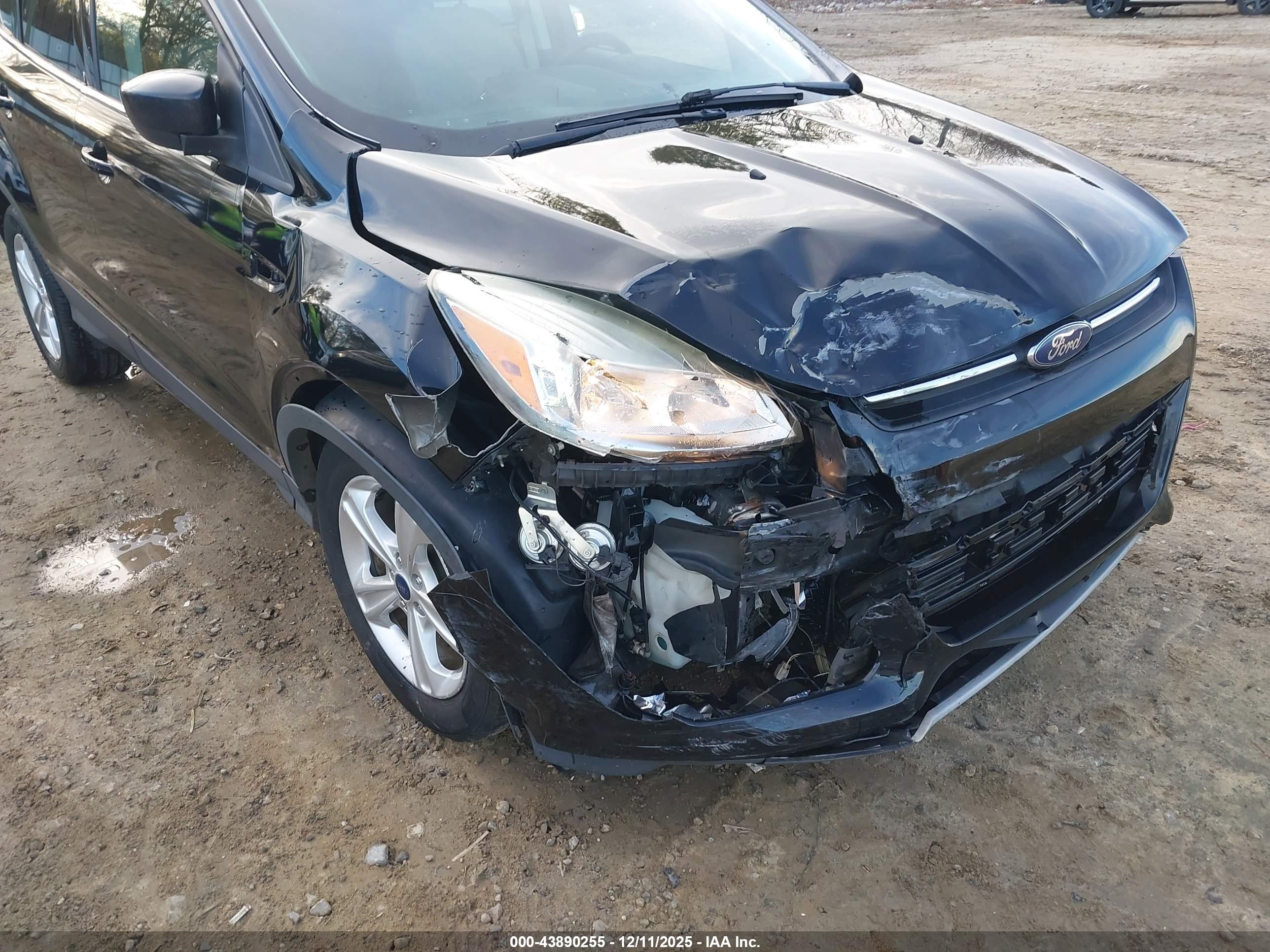 FORD ESCAPE image 6
