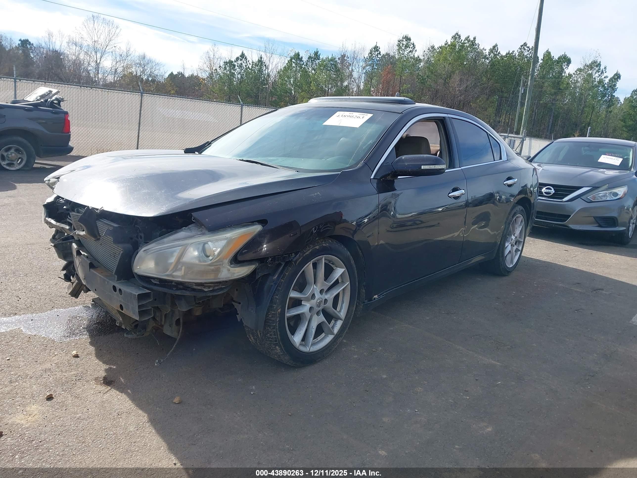 NISSAN MAXIMA image 2