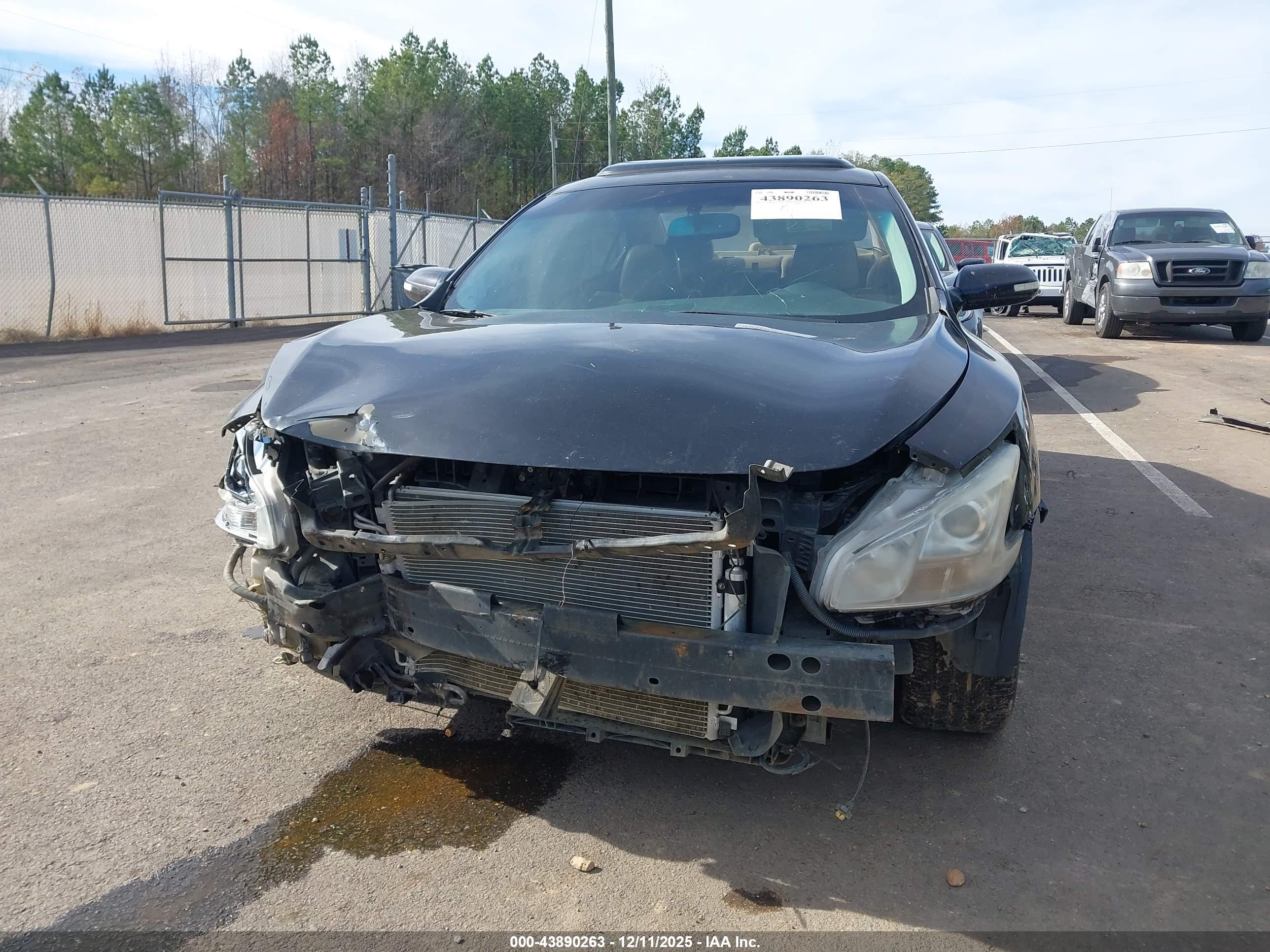 NISSAN MAXIMA image 6