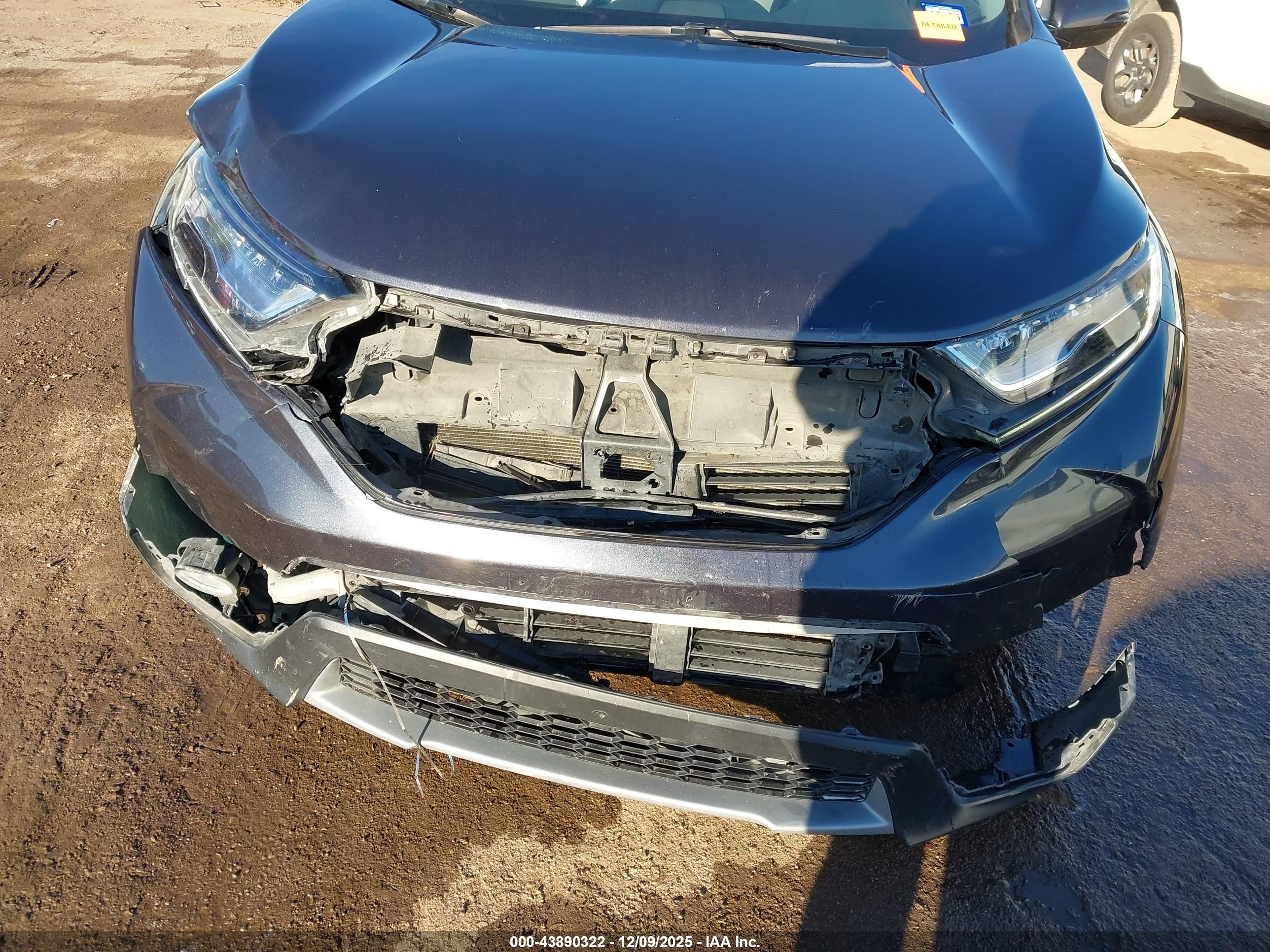 HONDA CR-V image 6