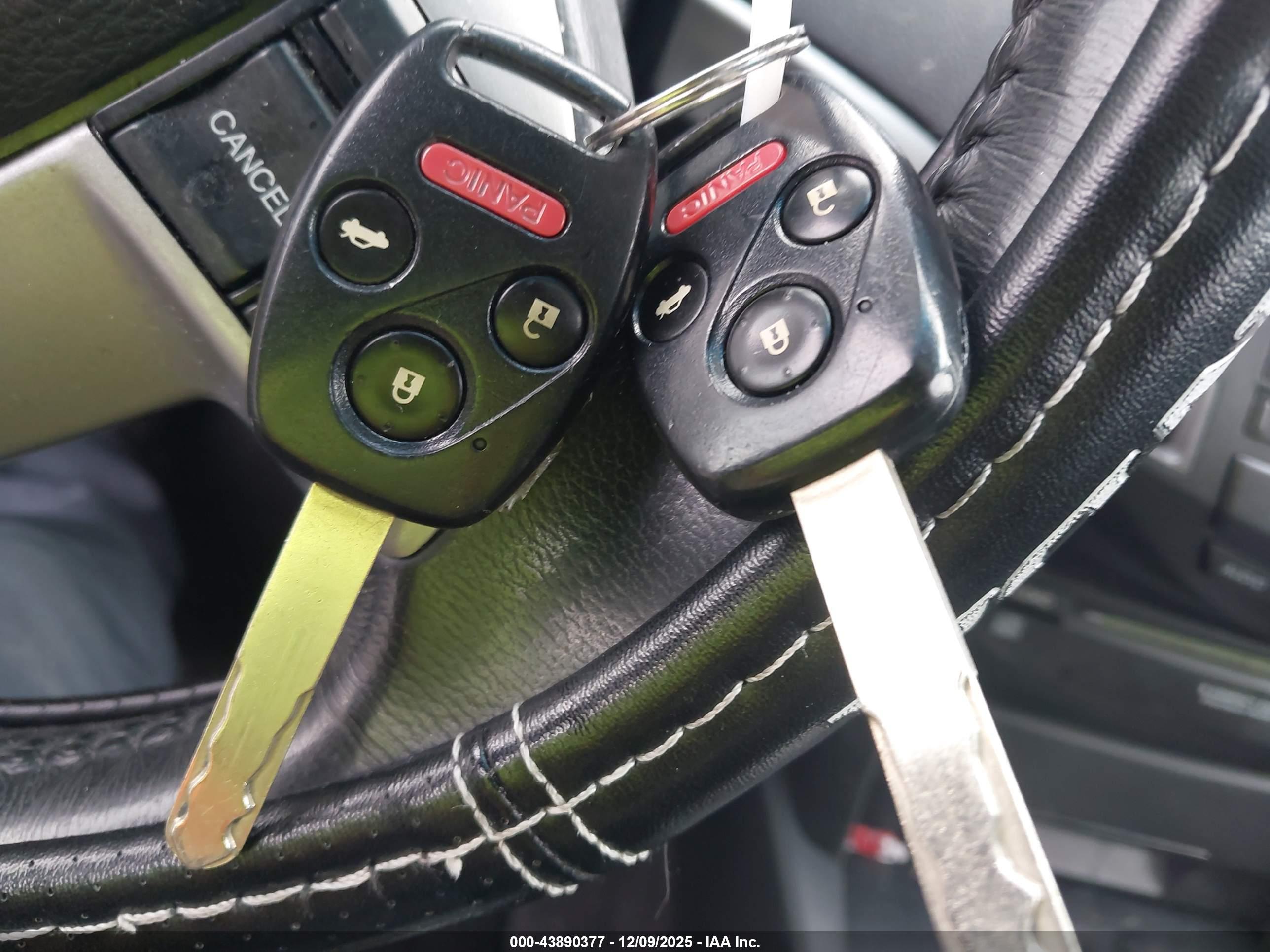 HONDA ACCORD image 11