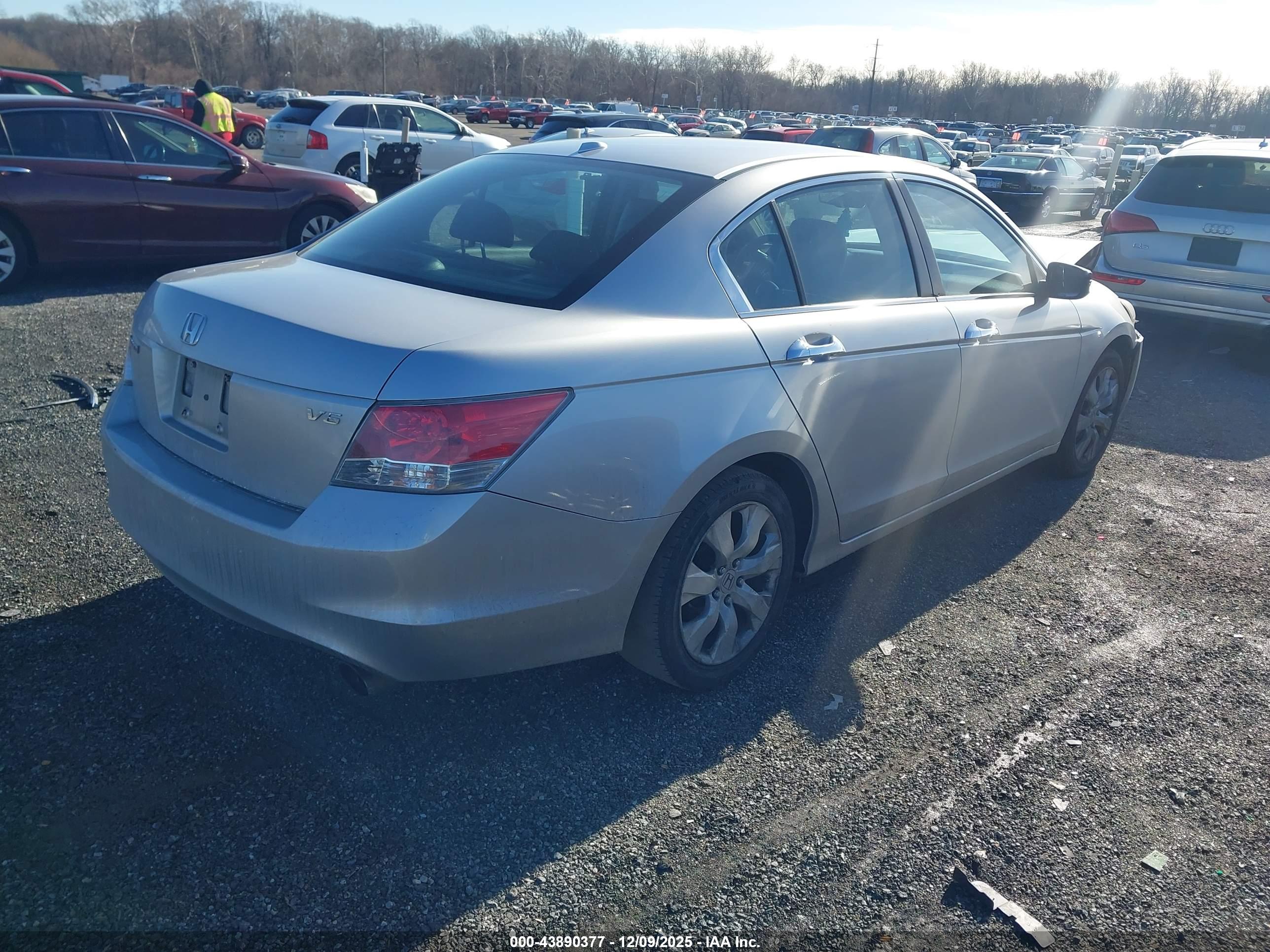 HONDA ACCORD image 4