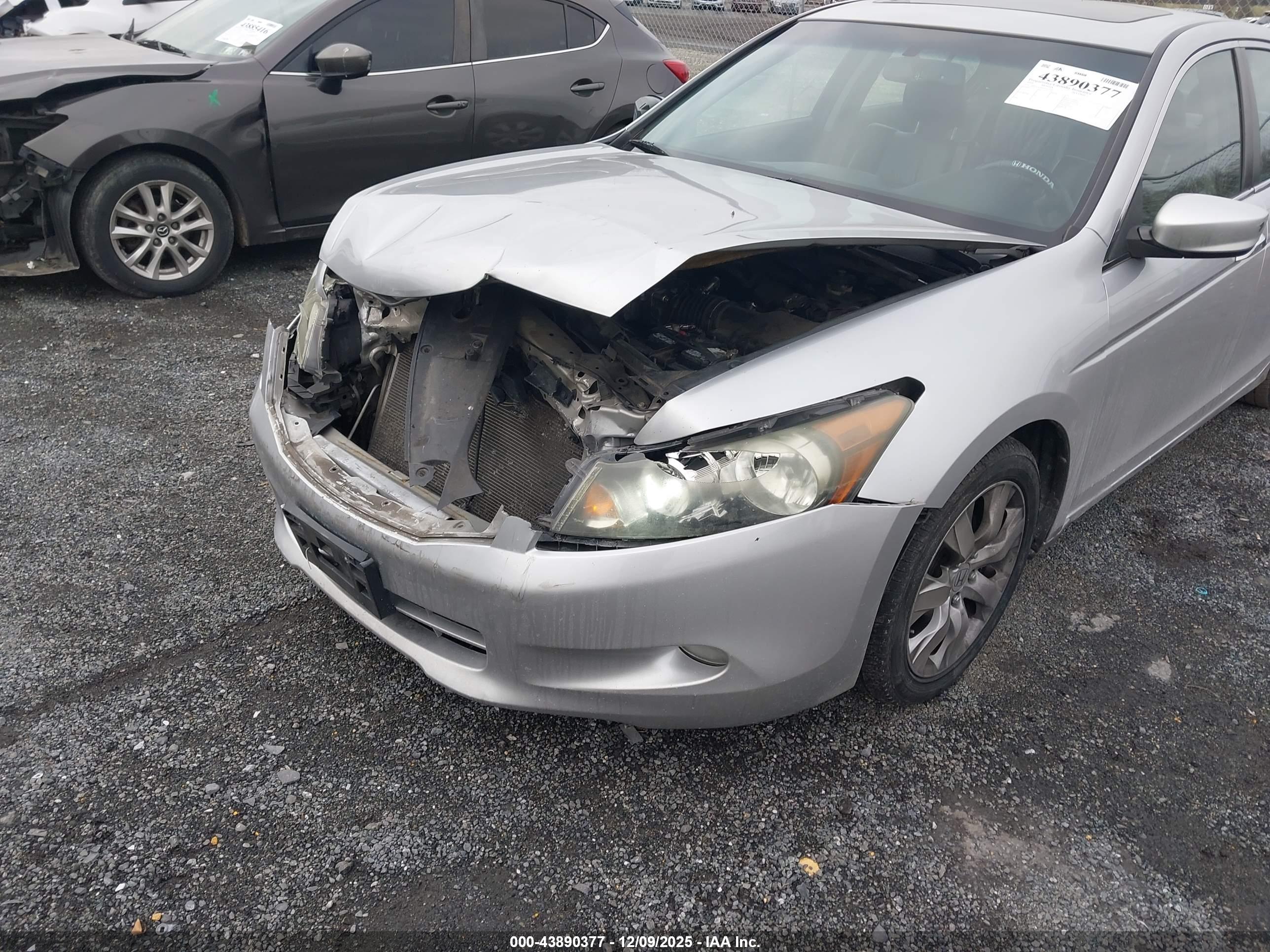 HONDA ACCORD image 6