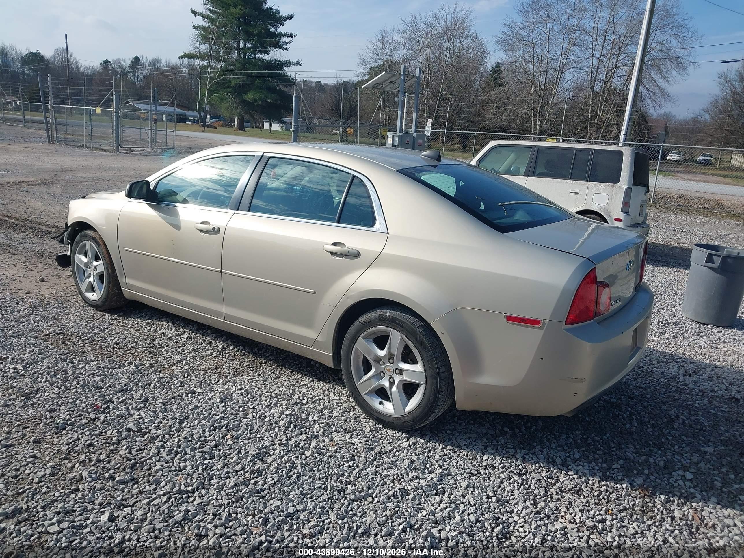 CHEVROLET MALIBU image 3